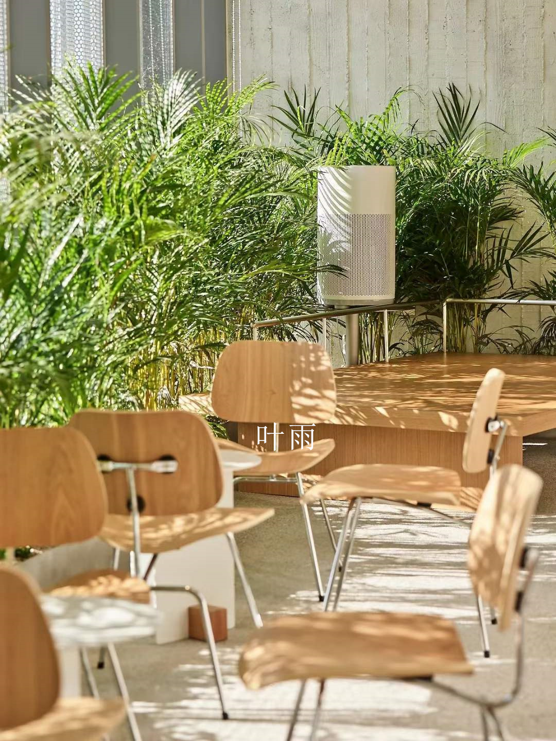 Ҷ��18156076132  (6).jpg