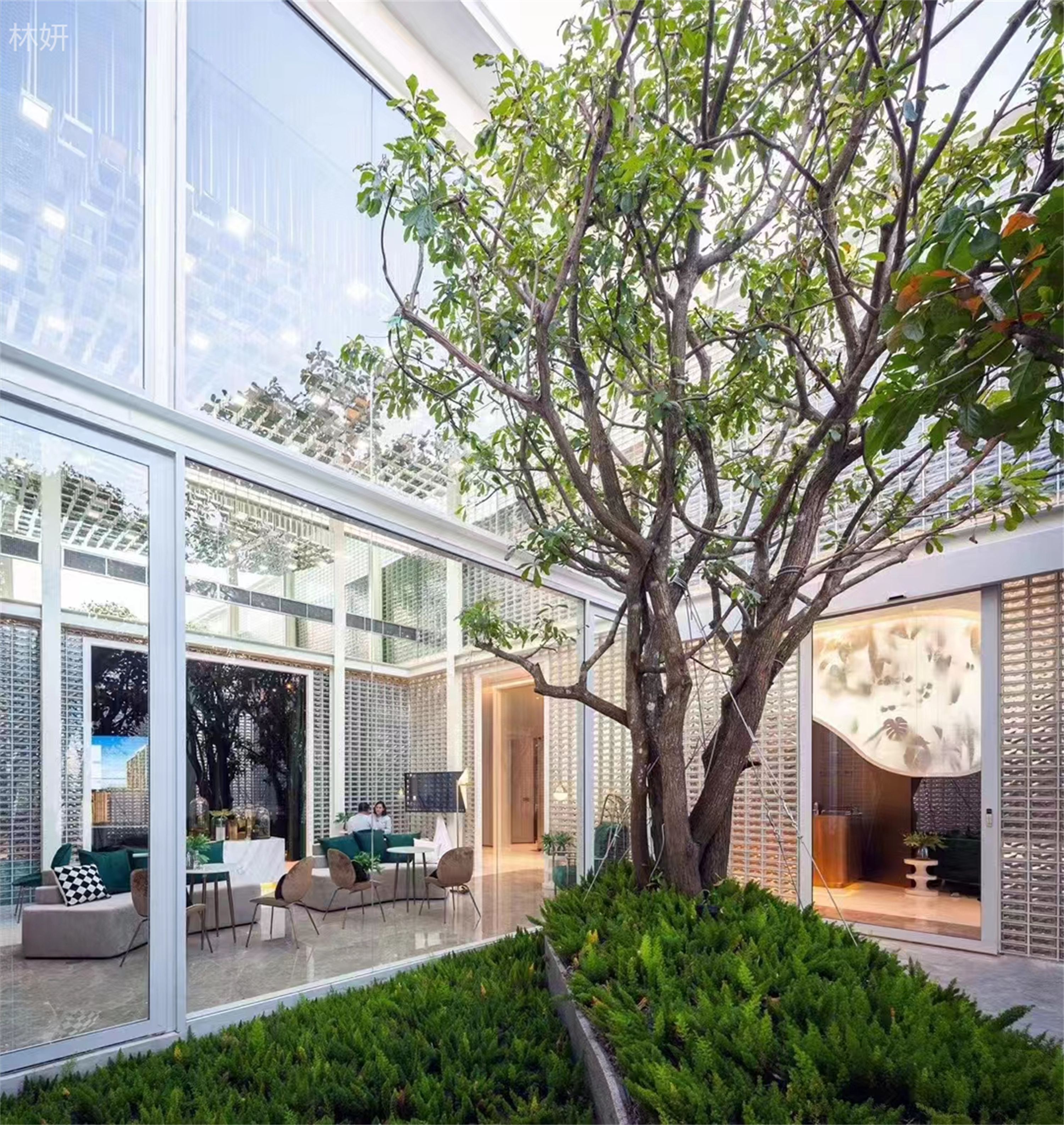 ���� 15656038661 (3).jpg