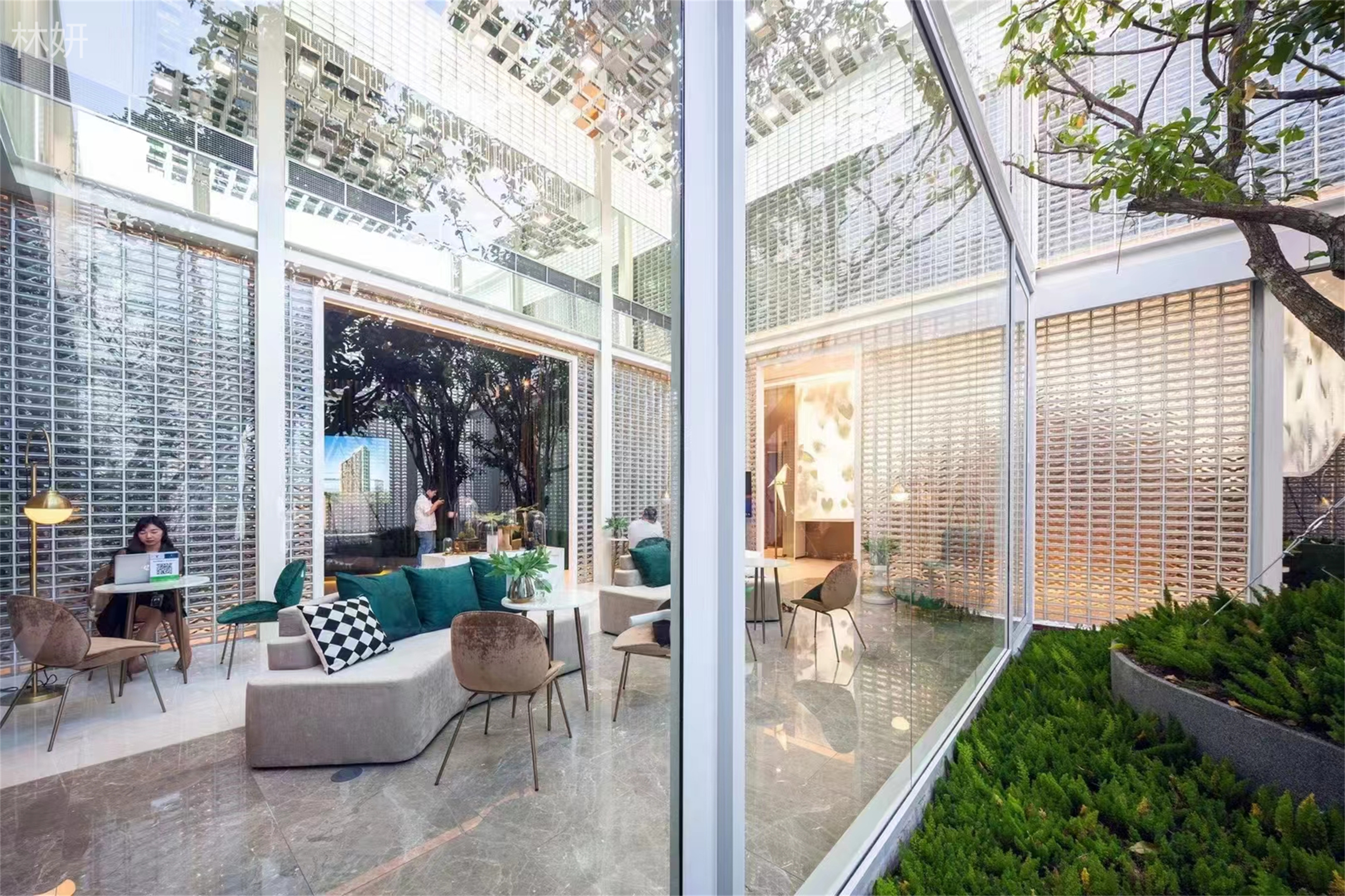 ���� 15656038661 (5).jpg