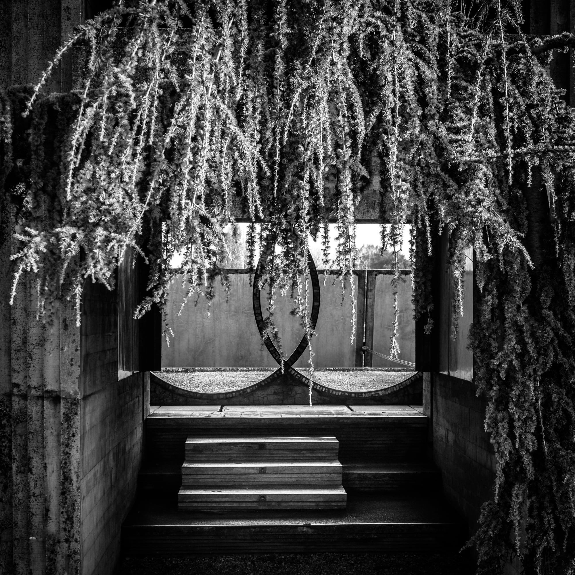 ˹carlo-scarpa  (64).jpg