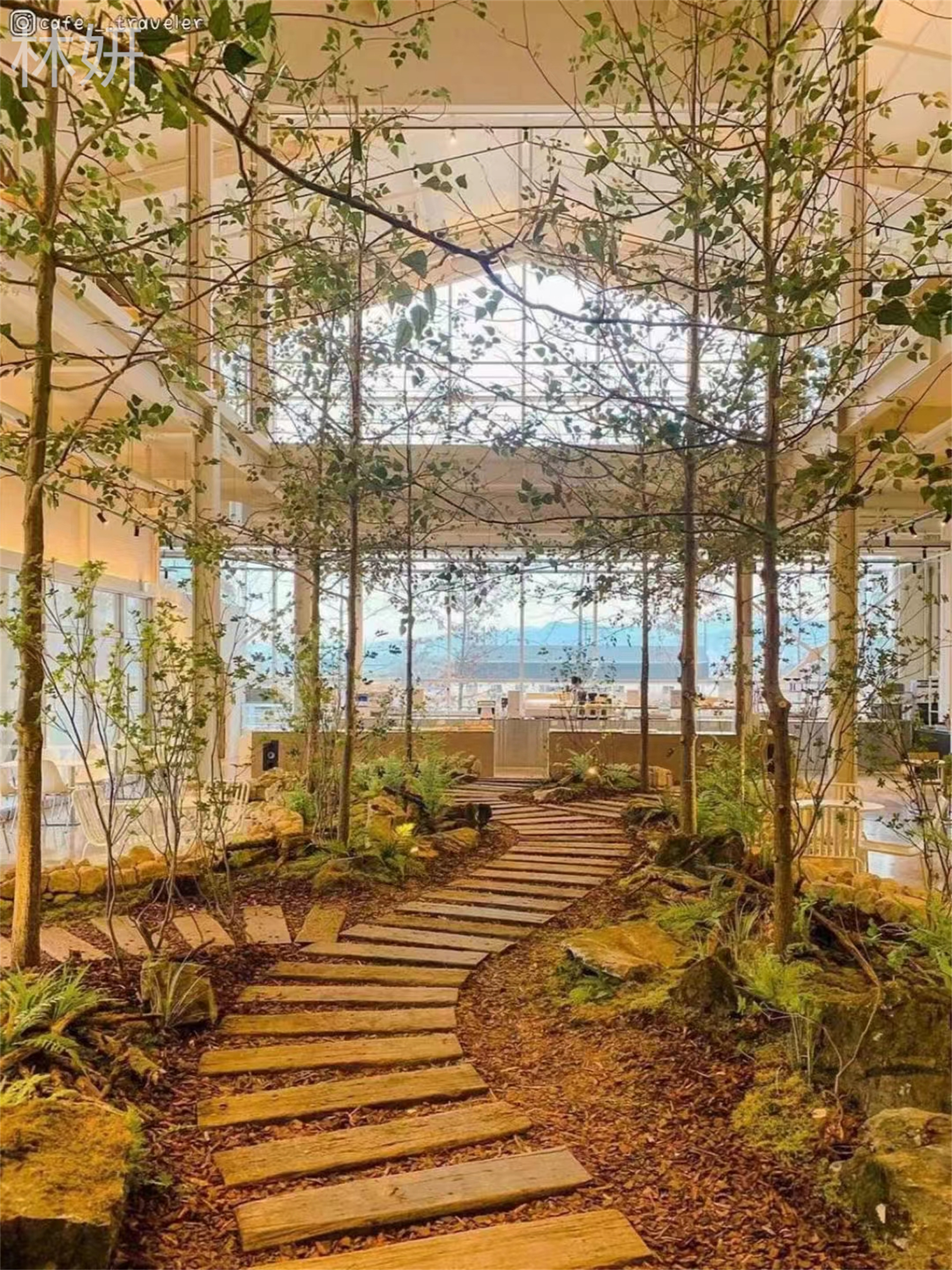 ���� 15656038661 (2).jpg