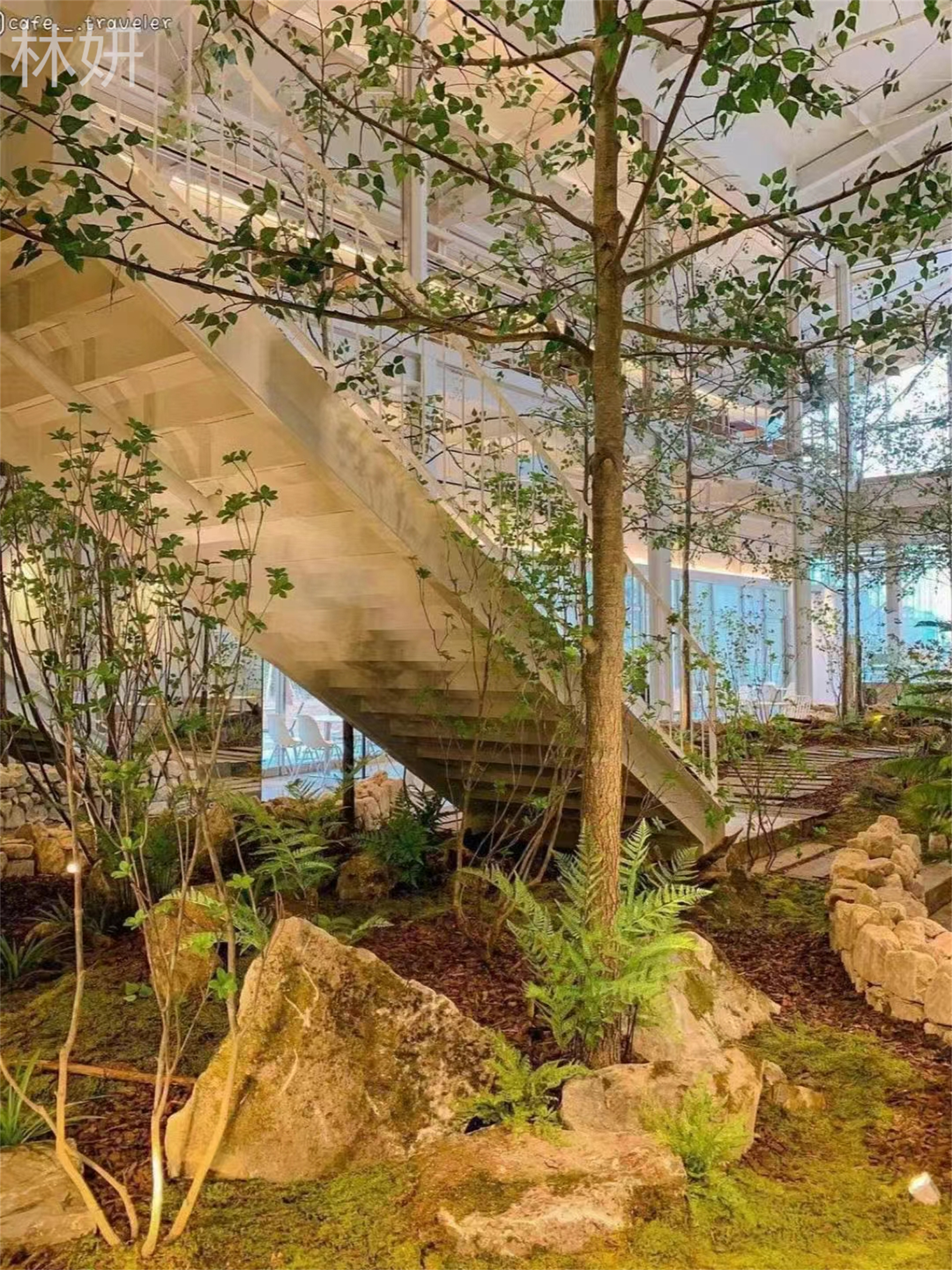 ���� 15656038661 (3).jpg