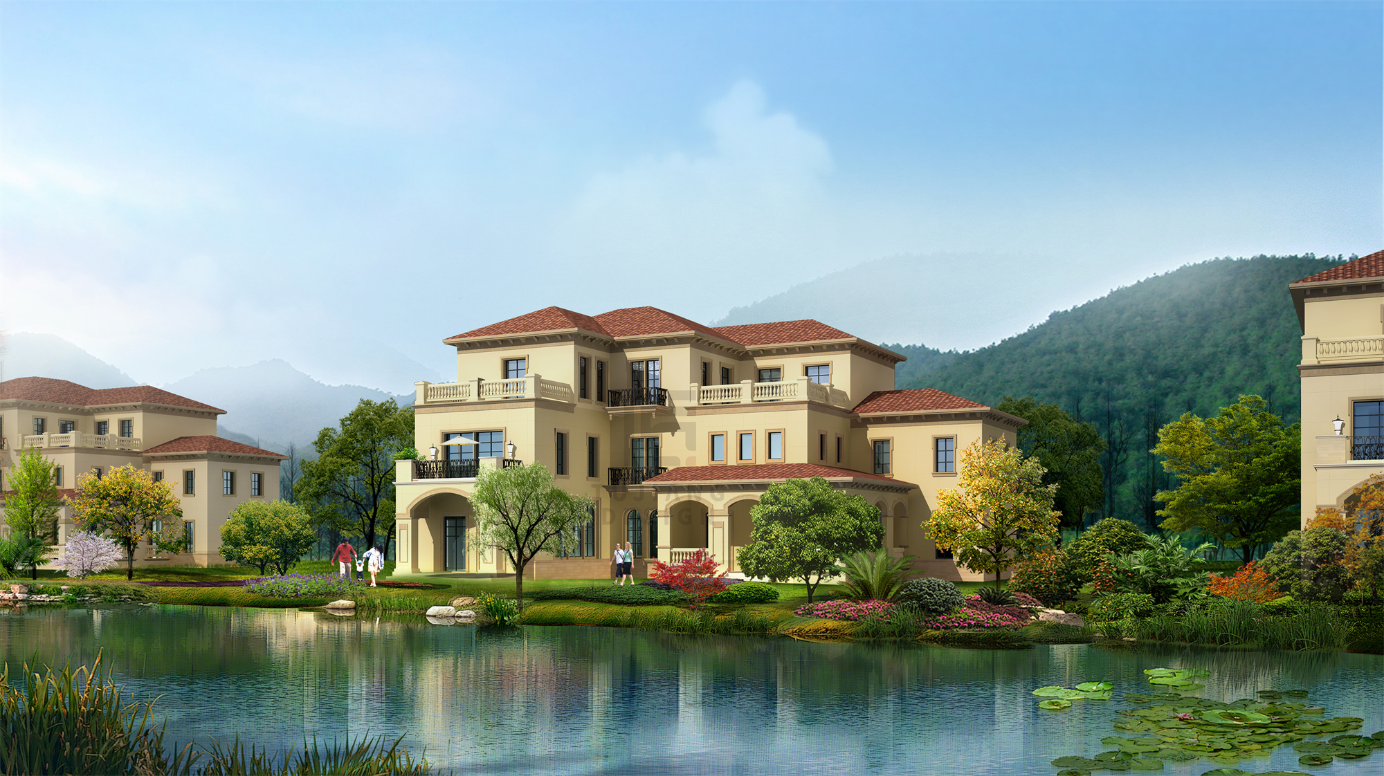 ������13156505025 (1).jpg