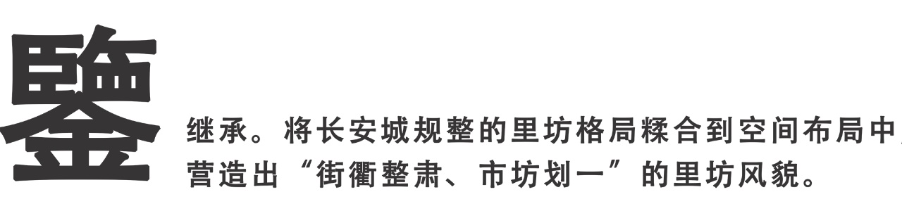 tz (12).JPG
