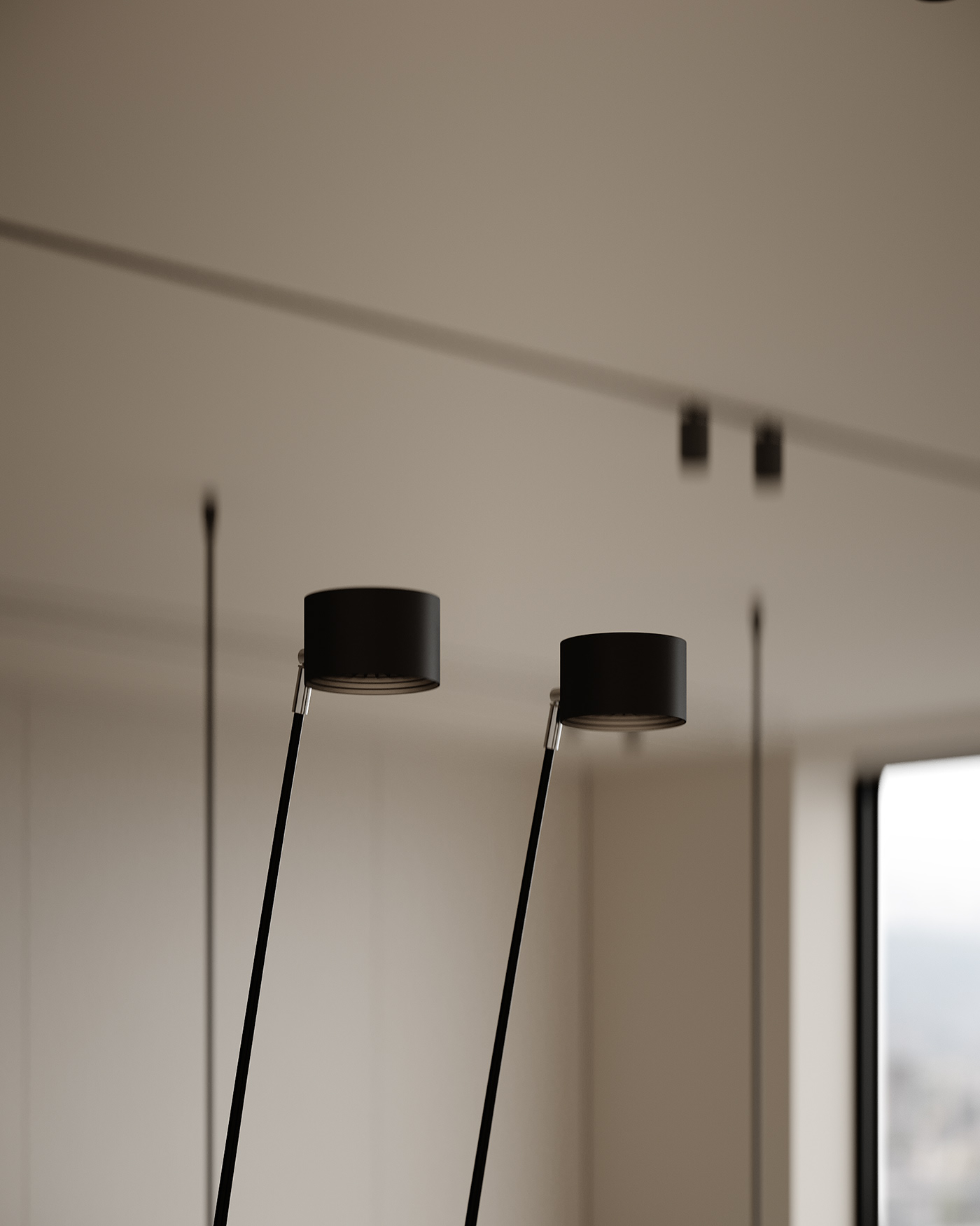 tz (10).jpg