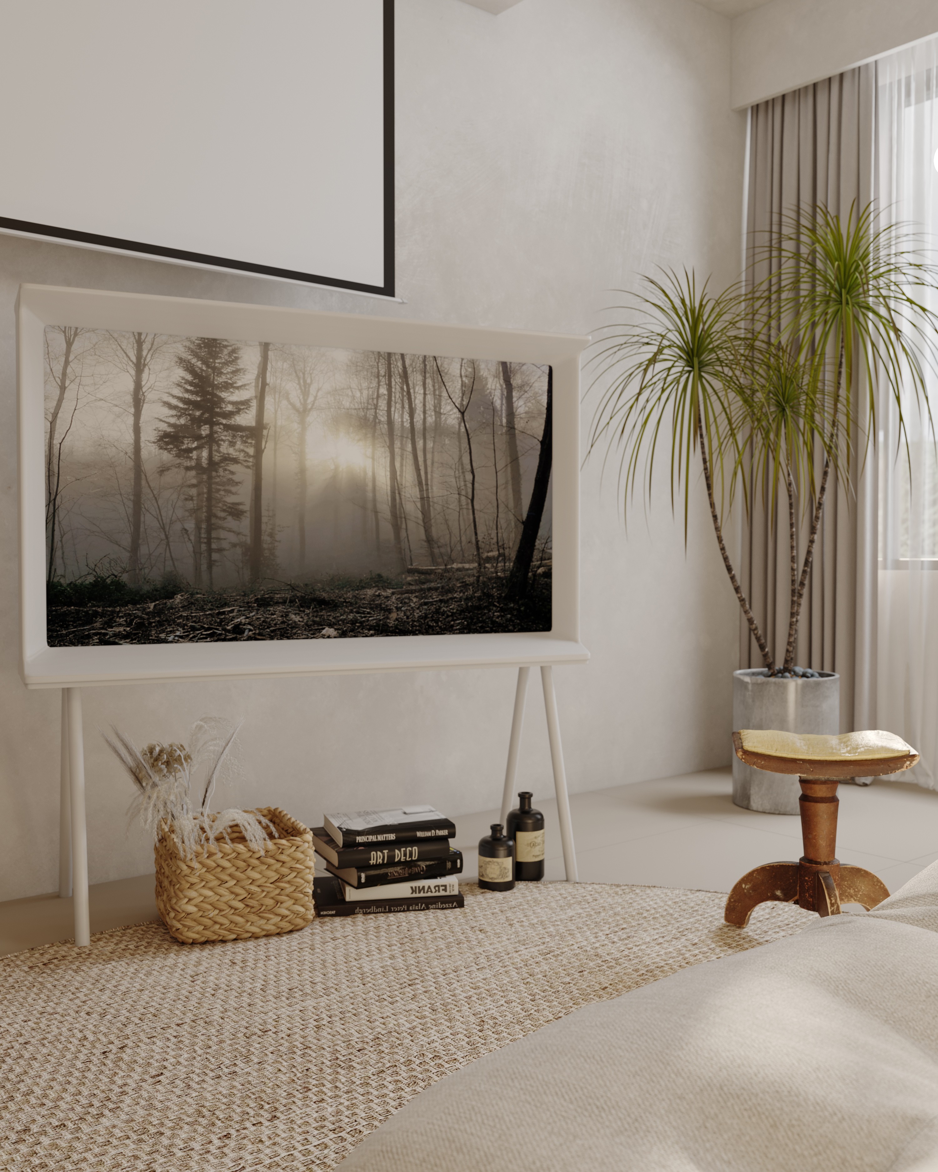 ��-Corona Camera006.jpg