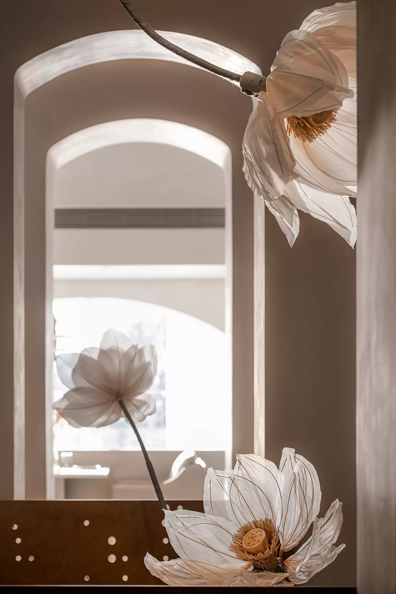 tz (16).JPG