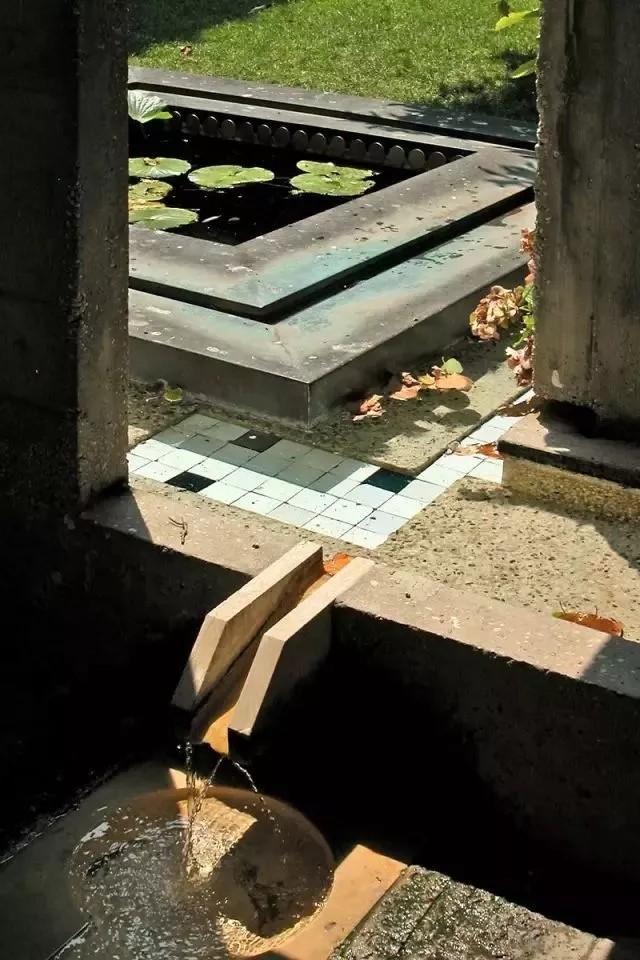 1642586639538994.jpg