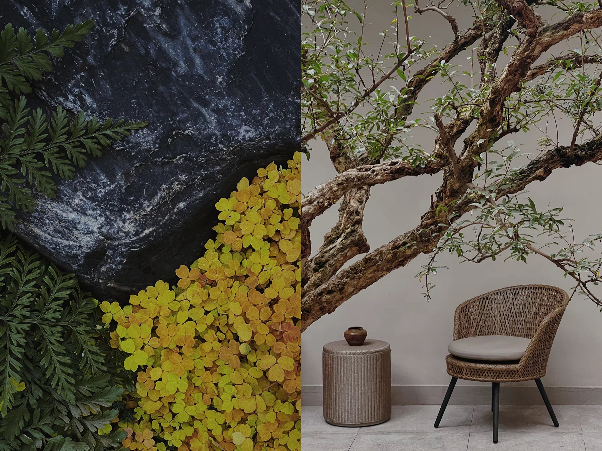 1 (9).JPG