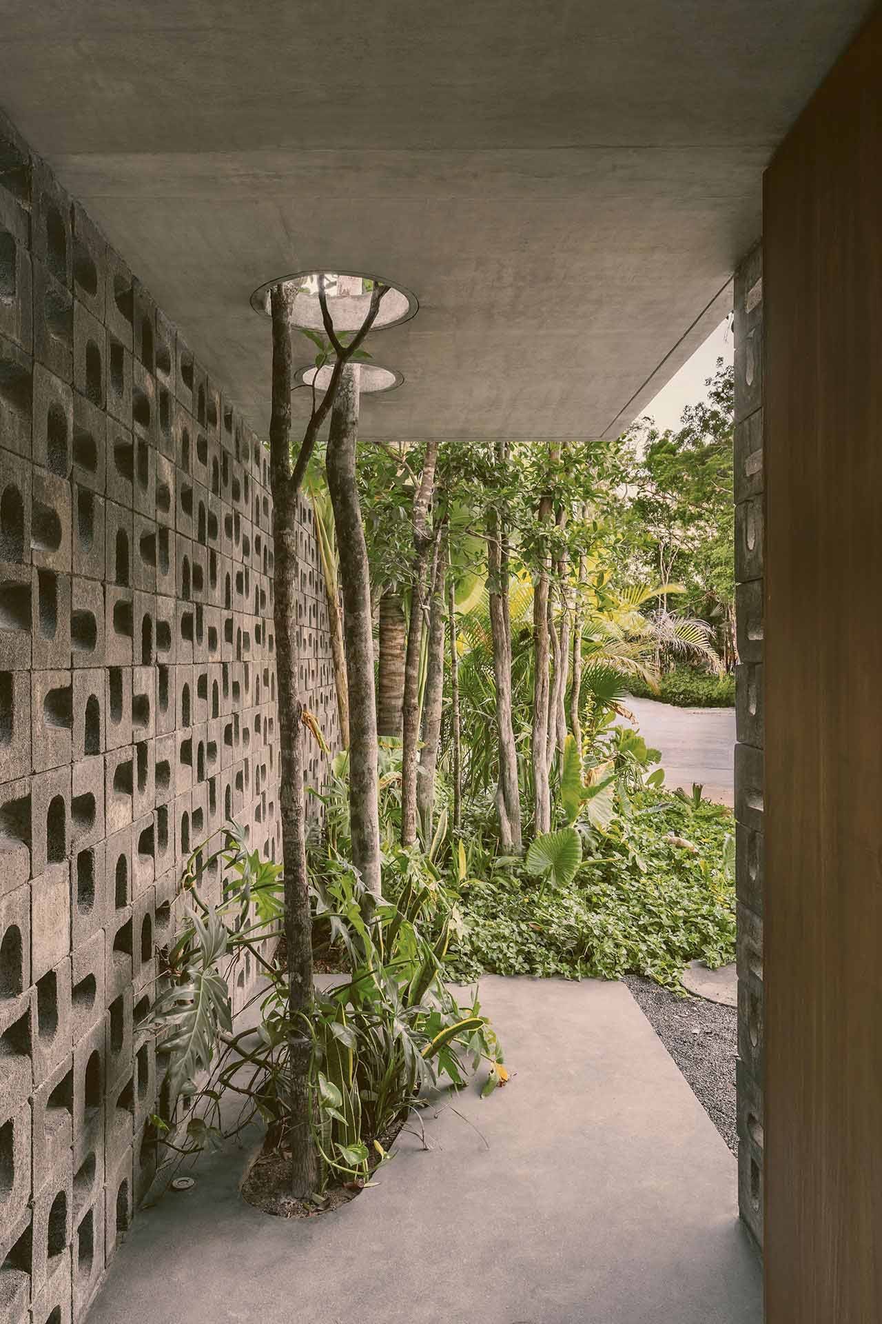 t (1).jpg