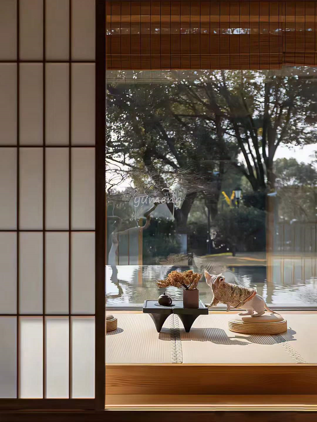 ����55 (5).jpg