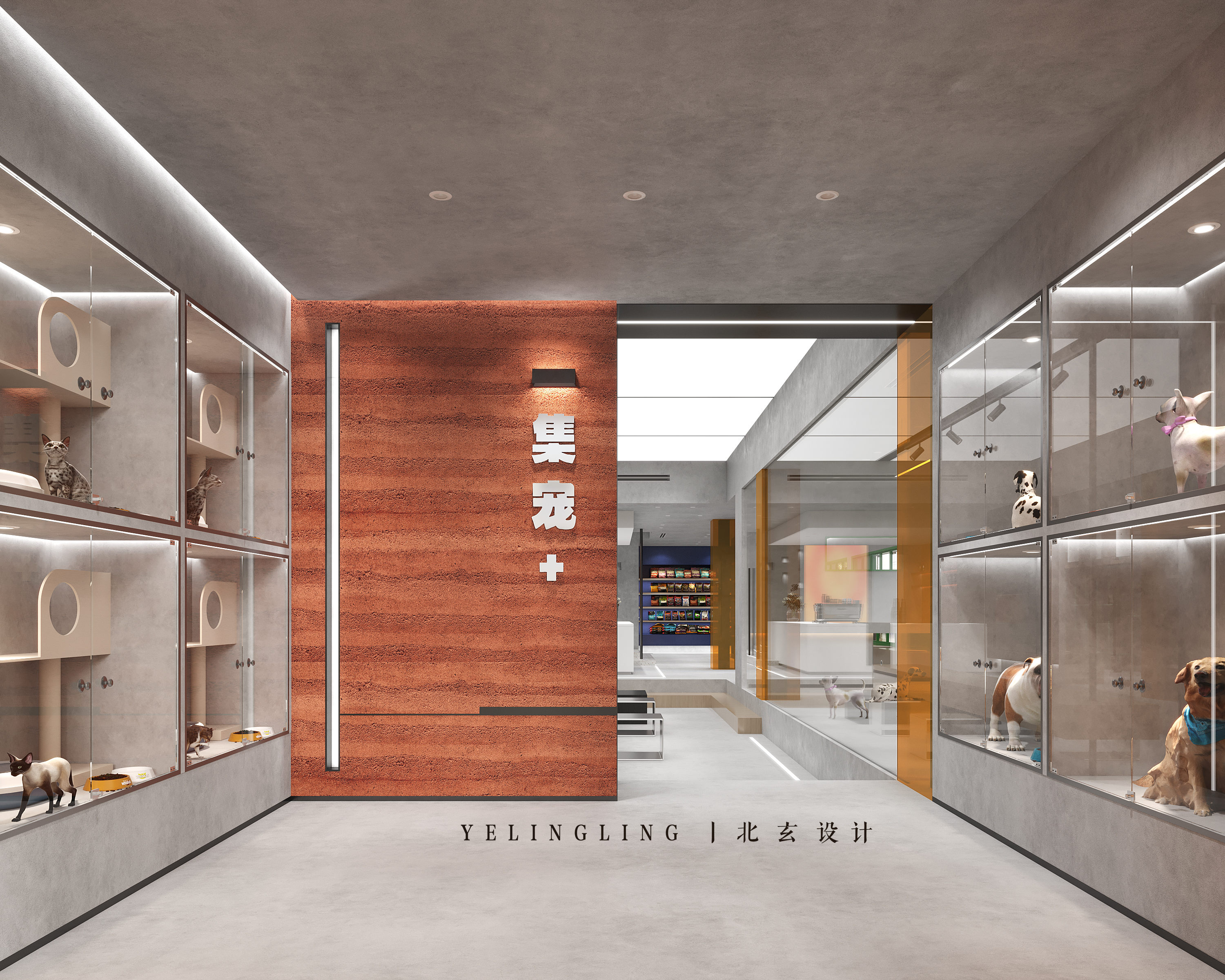 13365694991 (10).jpg