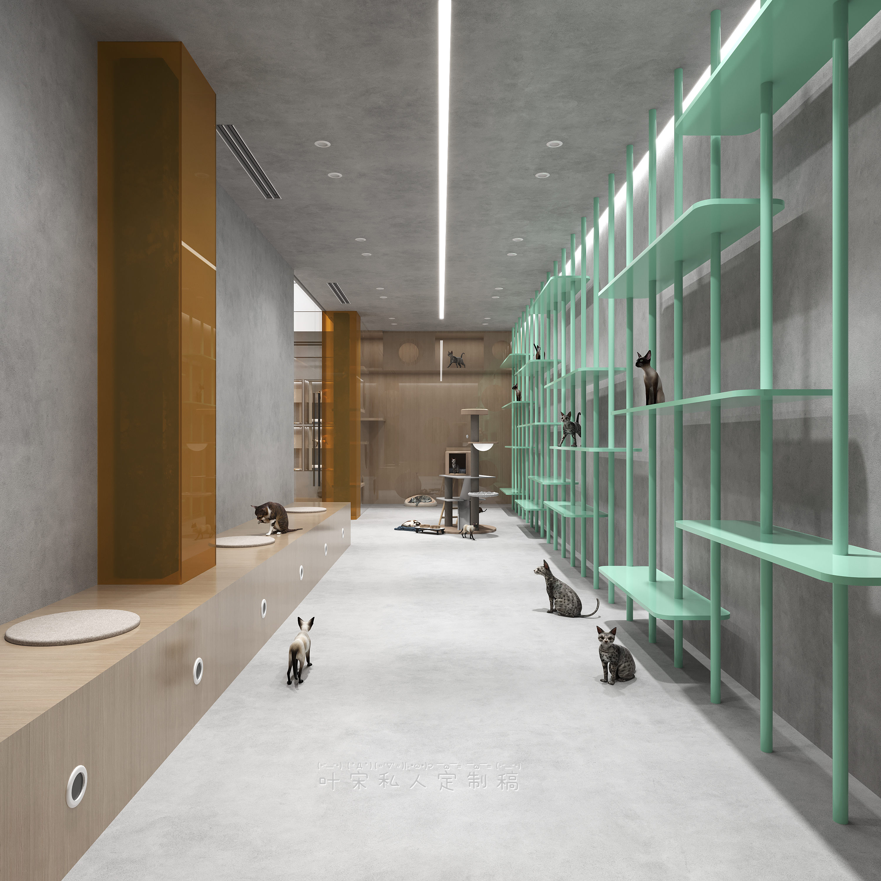 18919637638 (11).jpg