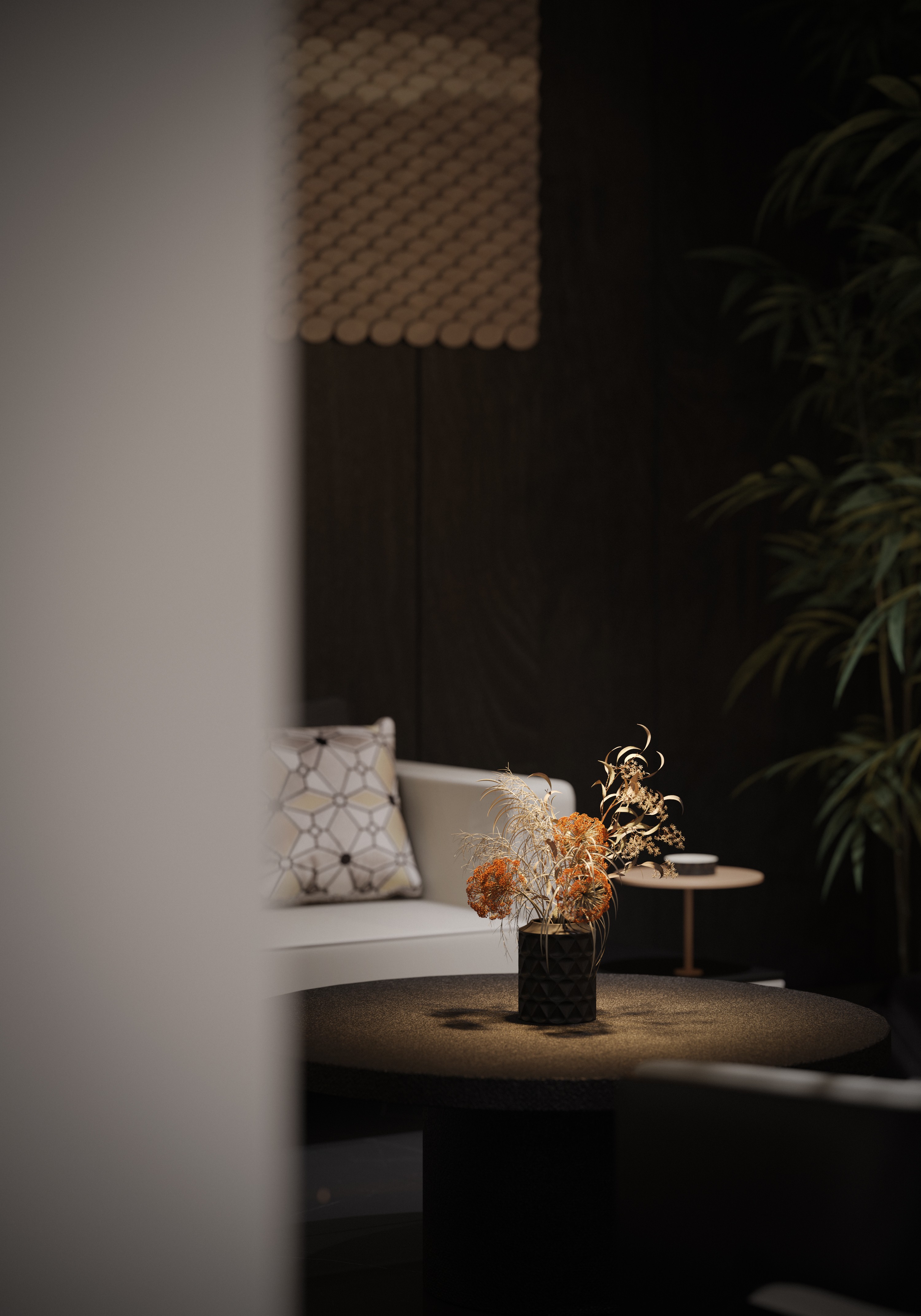 AutoBackup04-Corona Camera011.jpg