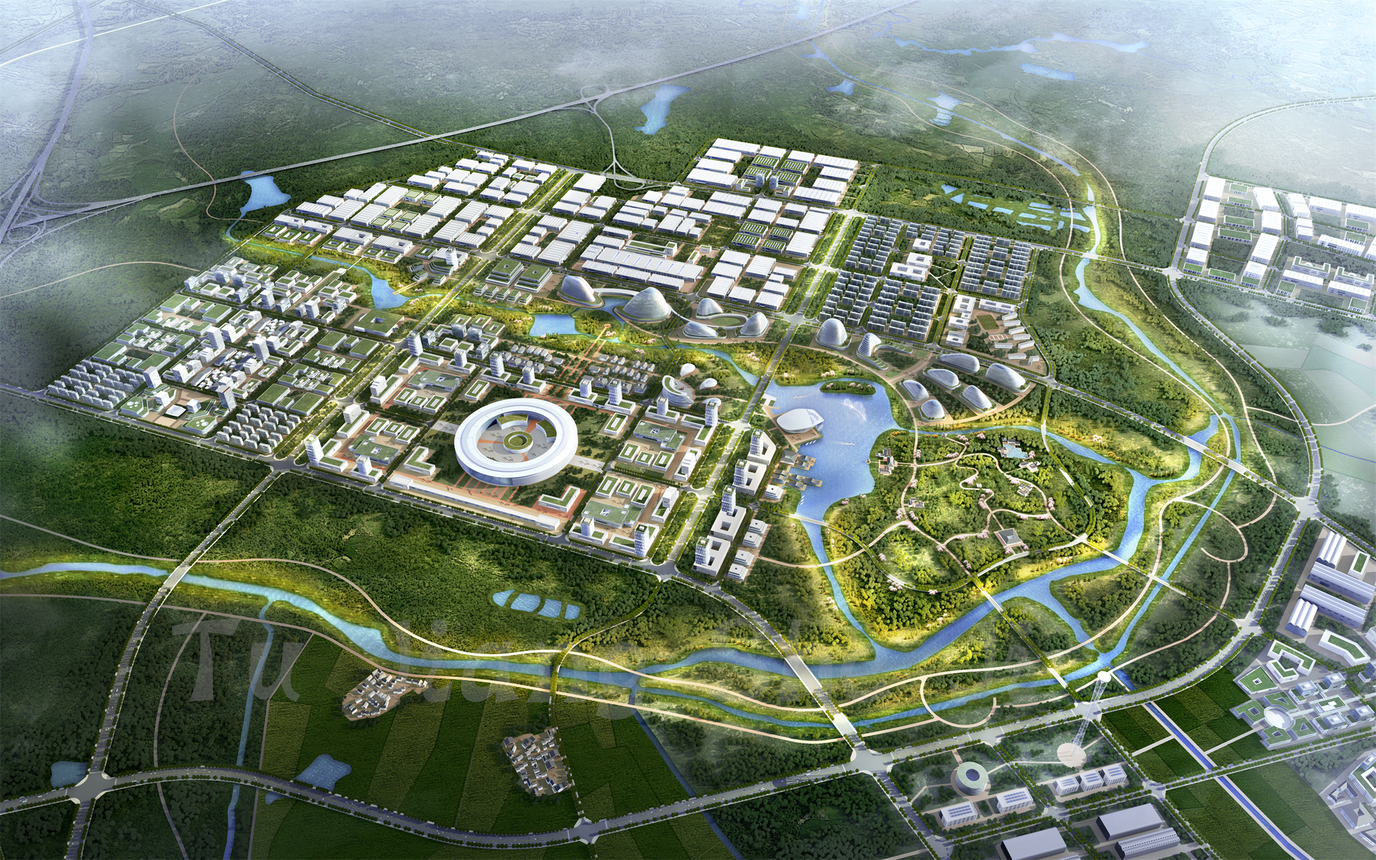 ������13156505025 (6).jpg