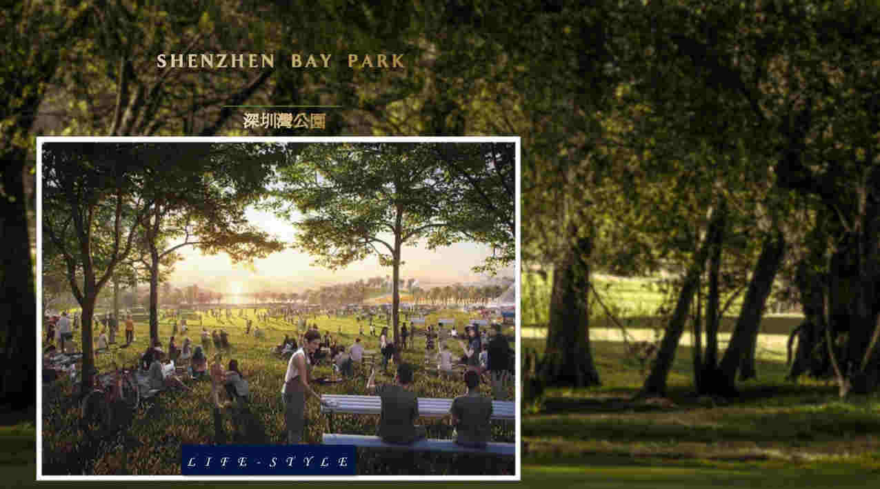 CCD  ߿THE ONEլƻ㱨(4)_Page17.jpg