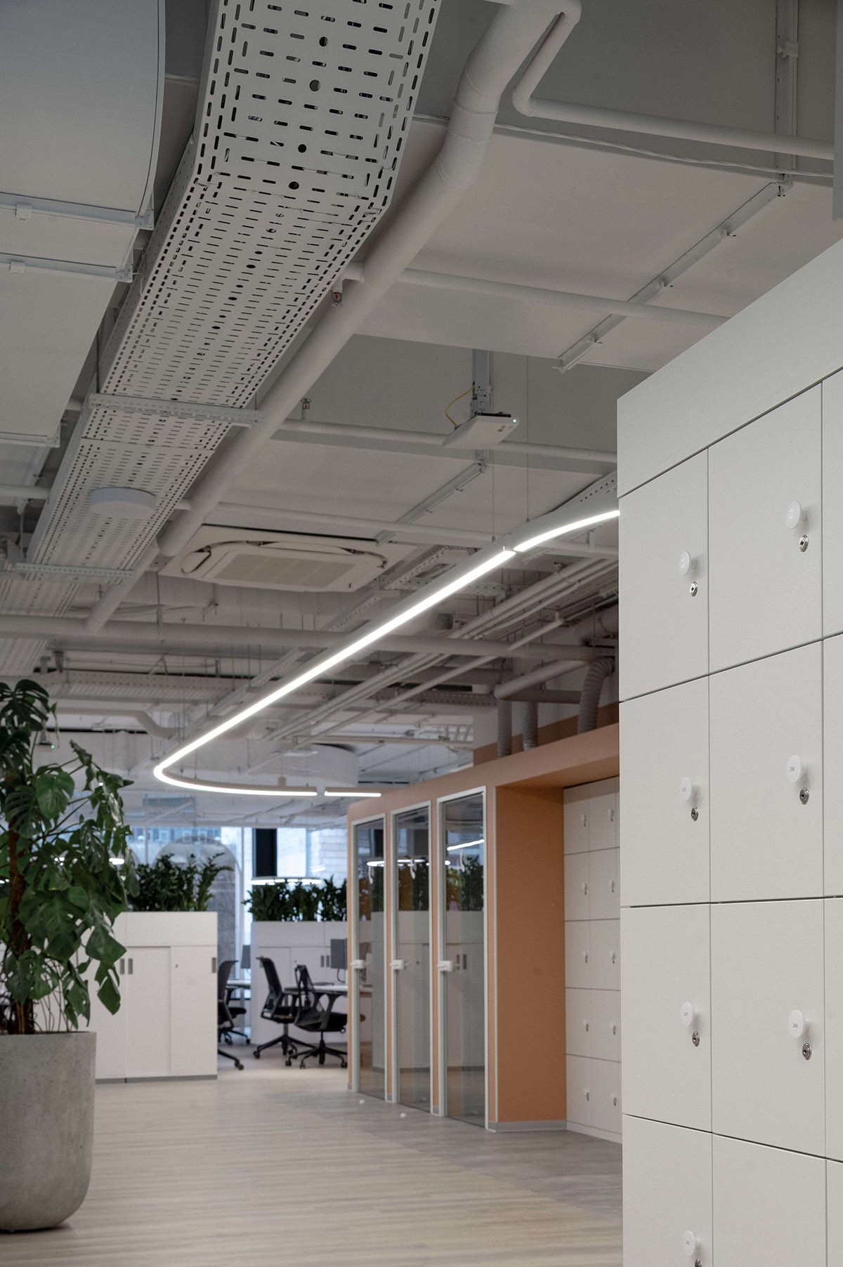 L'Or��alŷ���Ż����칫�ң��������������� (4).jpg