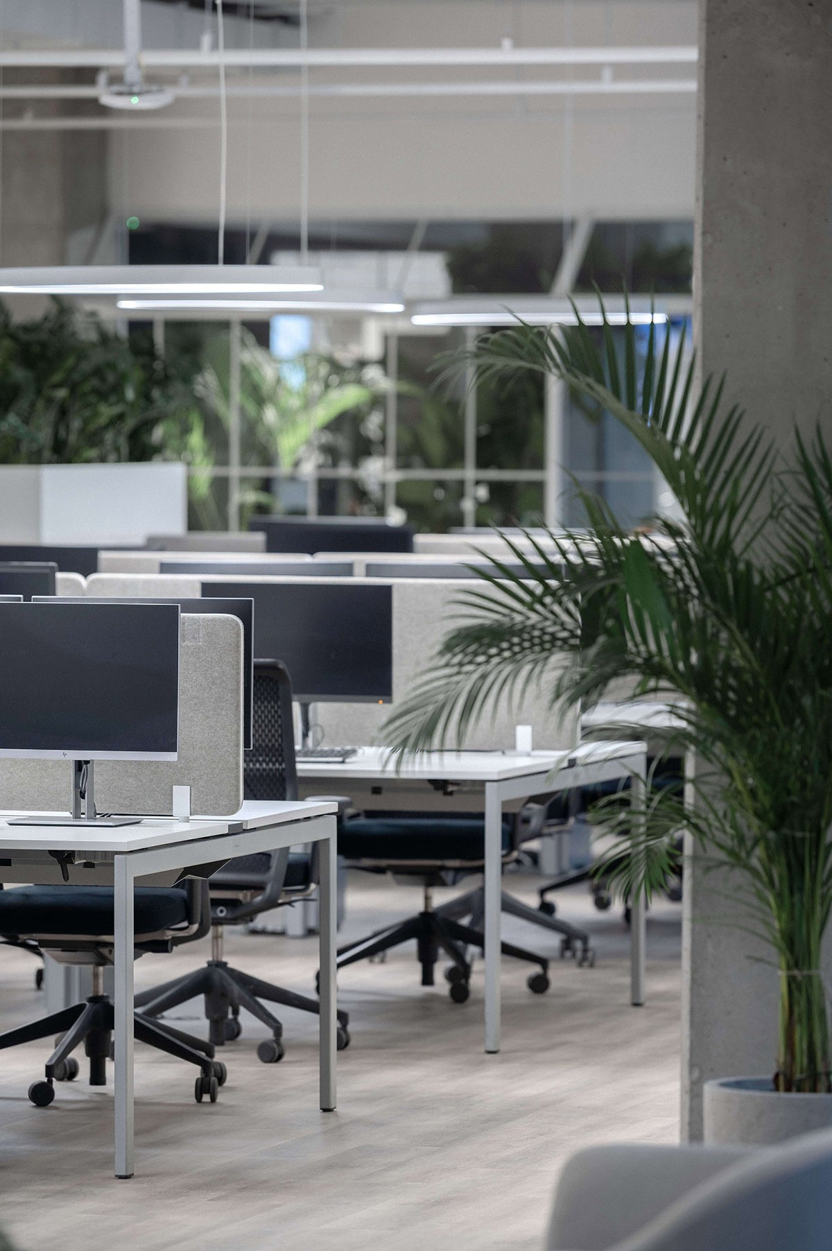 L'Or��alŷ���Ż����칫�ң��������������� (5).jpg