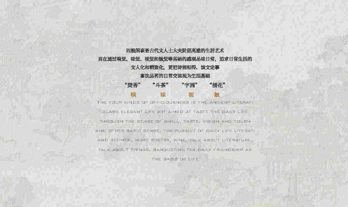CCD-vivoзĻڷᱨ_Page14.jpg