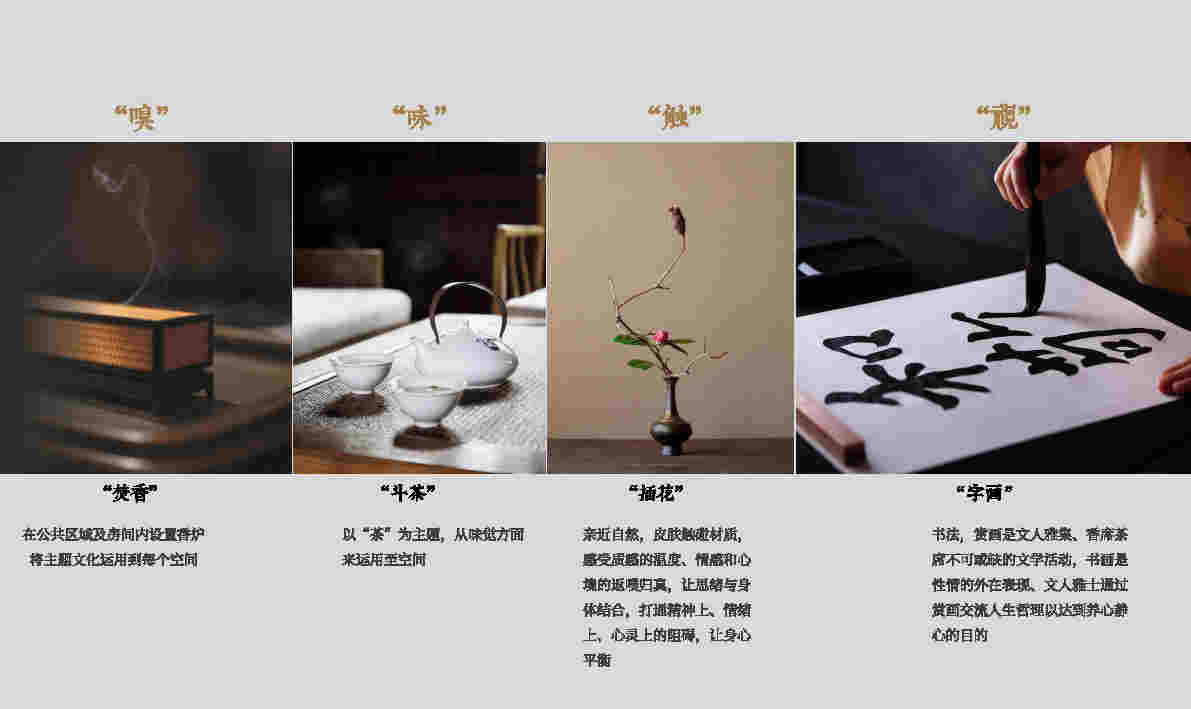 CCD-vivoзĻڷᱨ_Page15.jpg