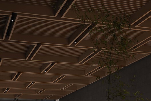 ��������®�Ƶ�������� _ PLAT ASIA - ����ͼ, ��, ��.jpg