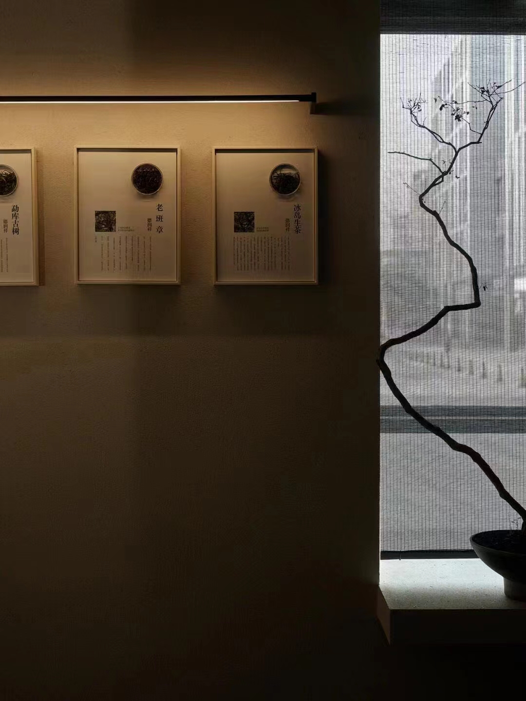 ������15156982041 (5).jpg