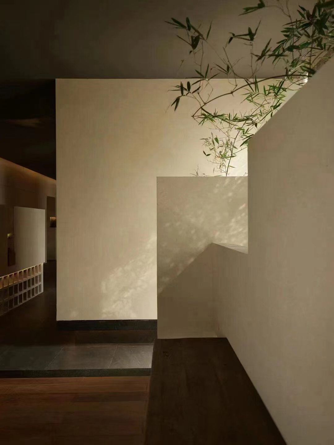 ������15156982041 (6).jpg