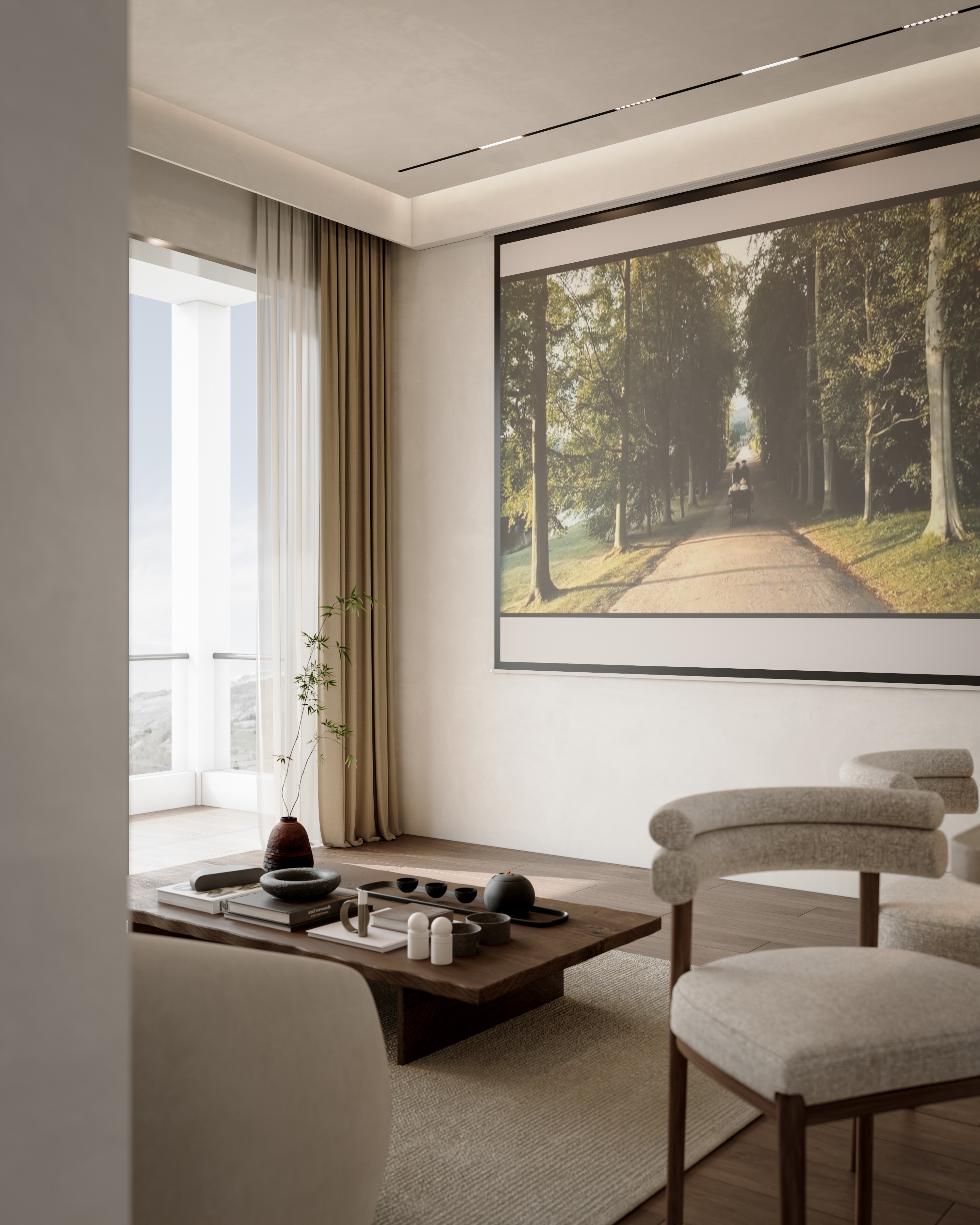 Ͳ-Corona Camera004.jpg