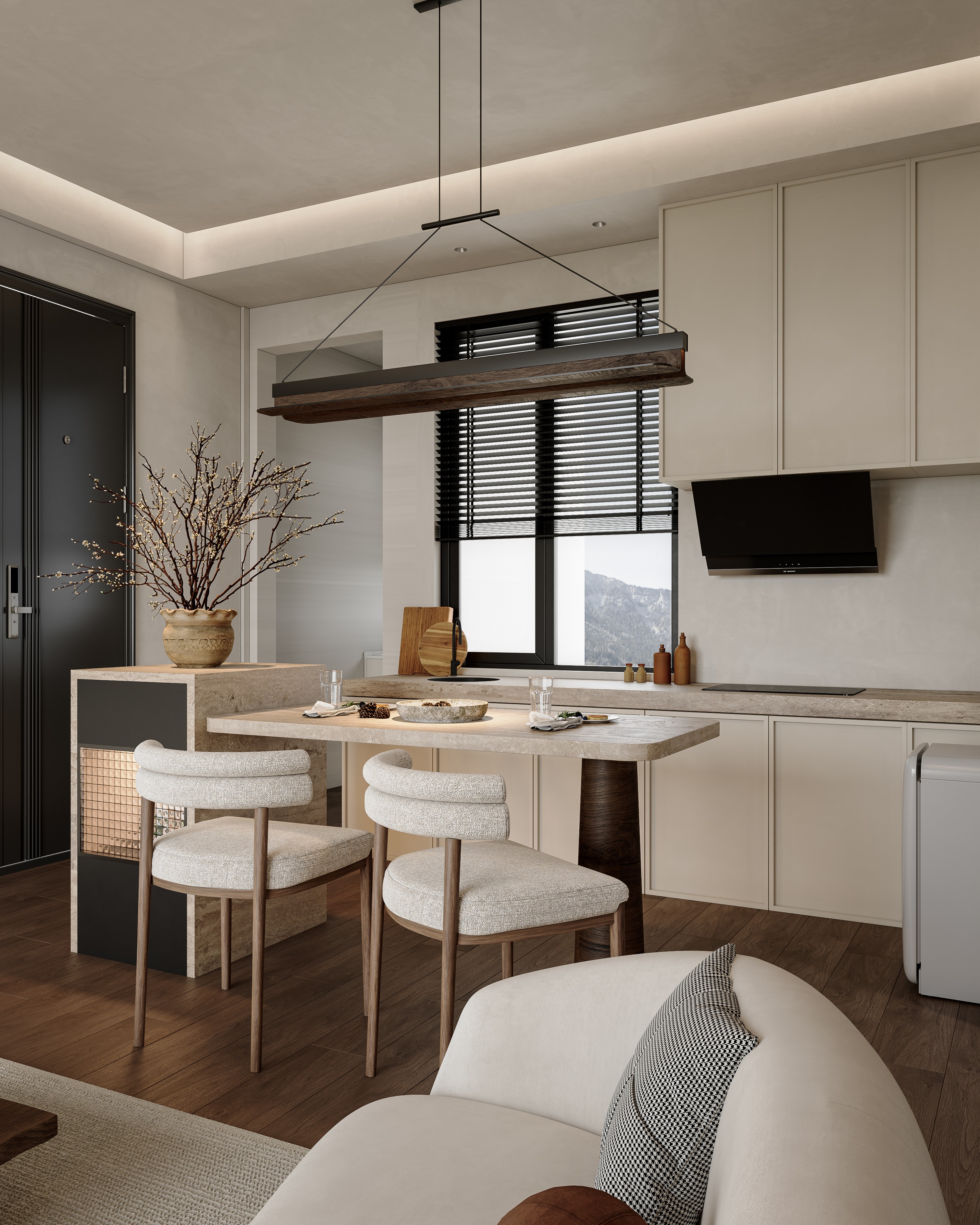 Ͳ-Corona Camera006.jpg