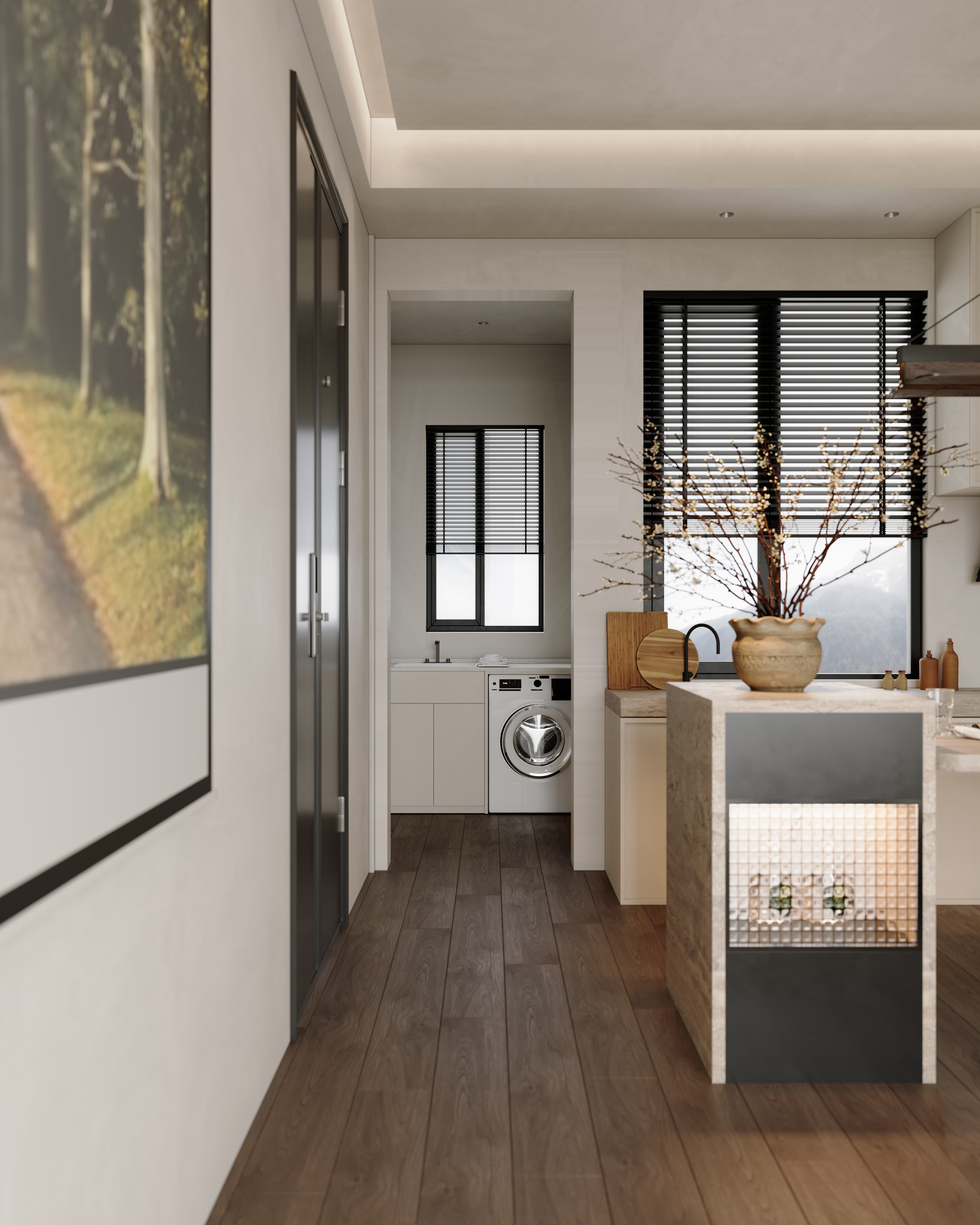 Ͳ-Corona Camera007.jpg