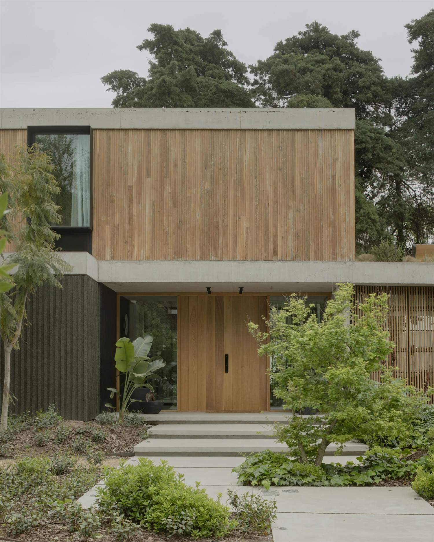 T (12).png T (12).png