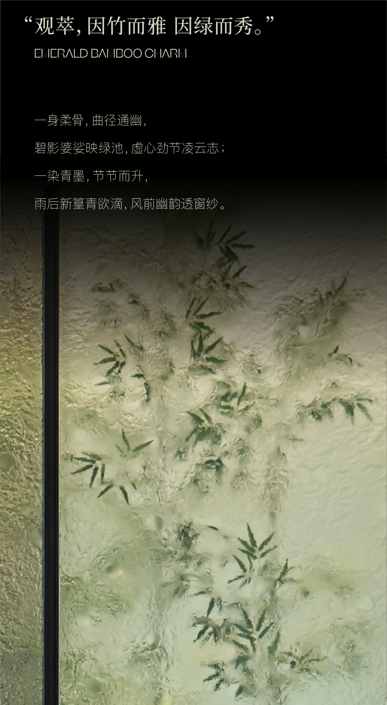 DM_20240831104751_013.jpg