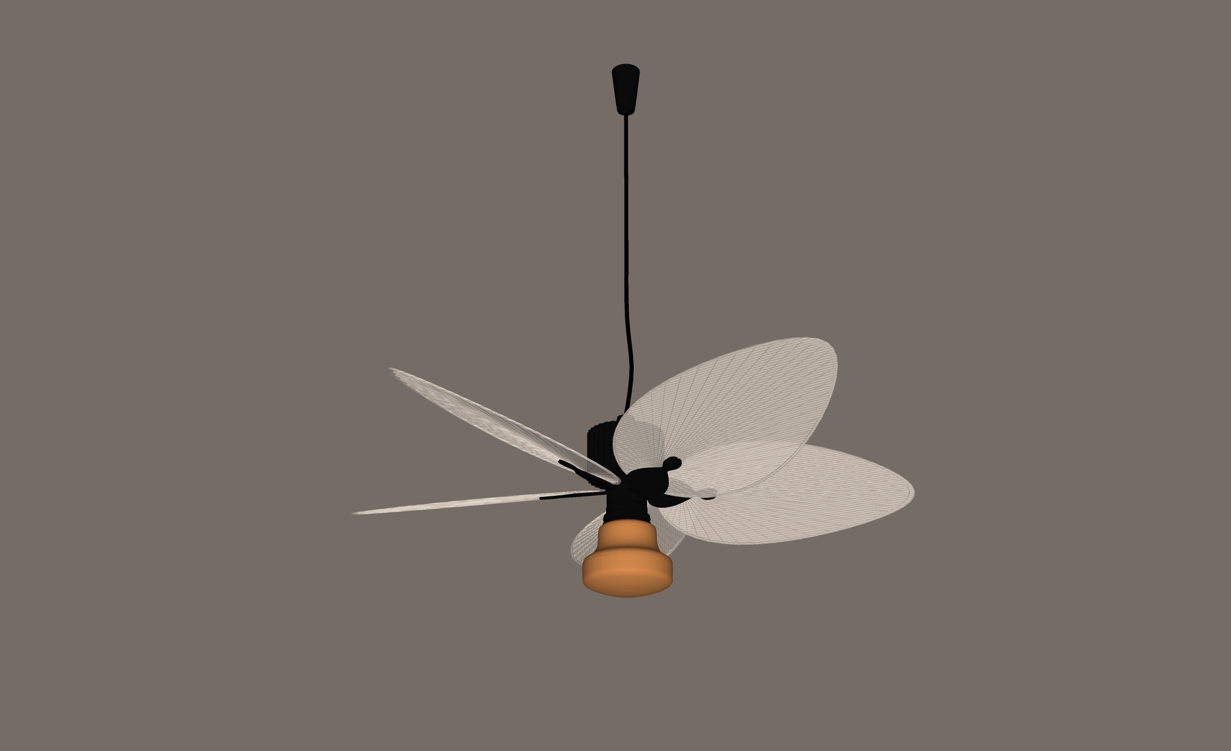 йŷ ȵ