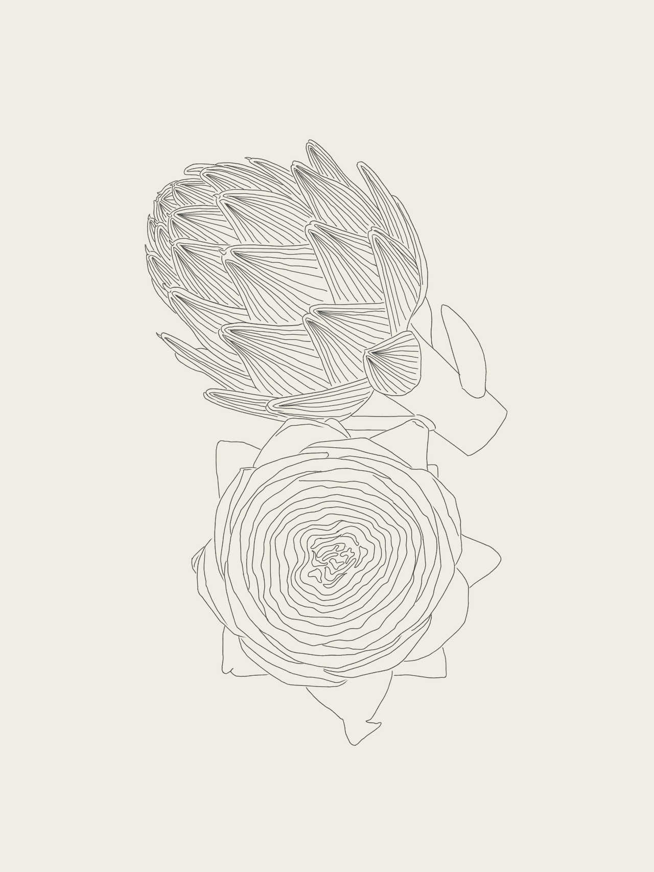 1 (10).PNG