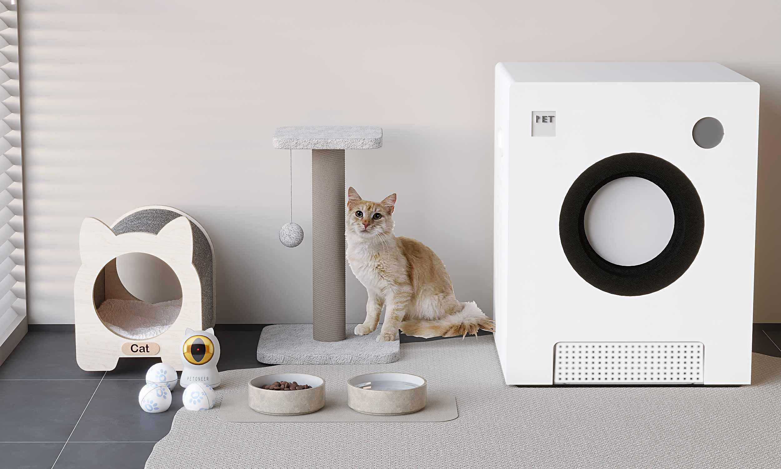 èè˯ɳ èɰèè ʽè