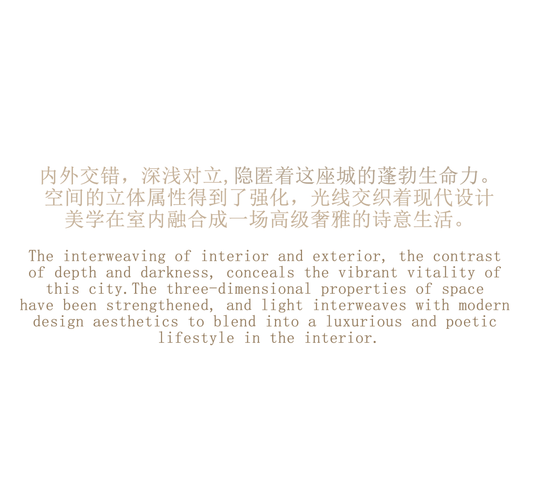 tz (9).jpg