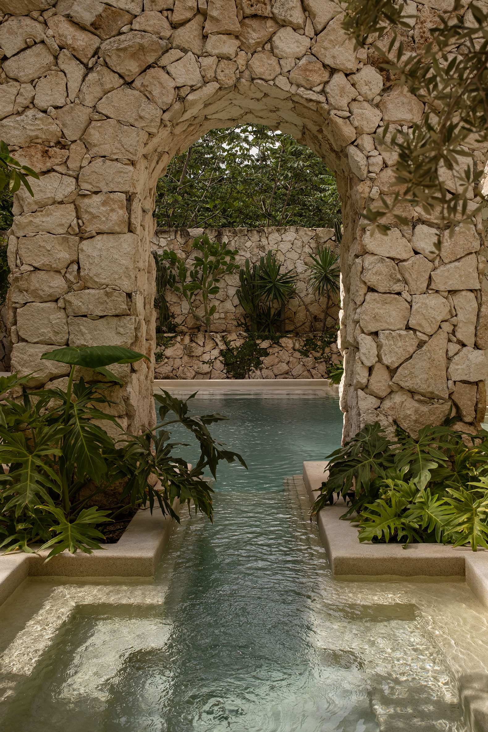 tz (12).jpg