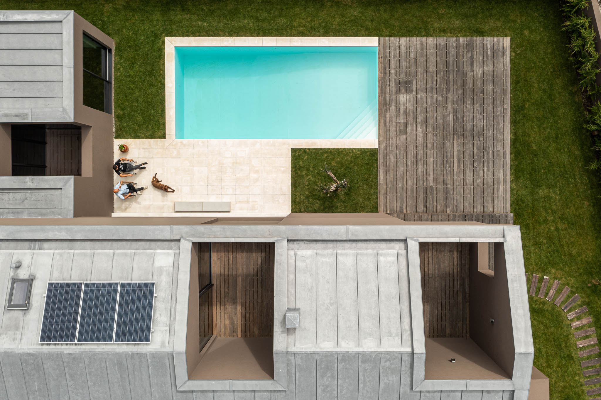 tz (7).jpg tz (7).jpg