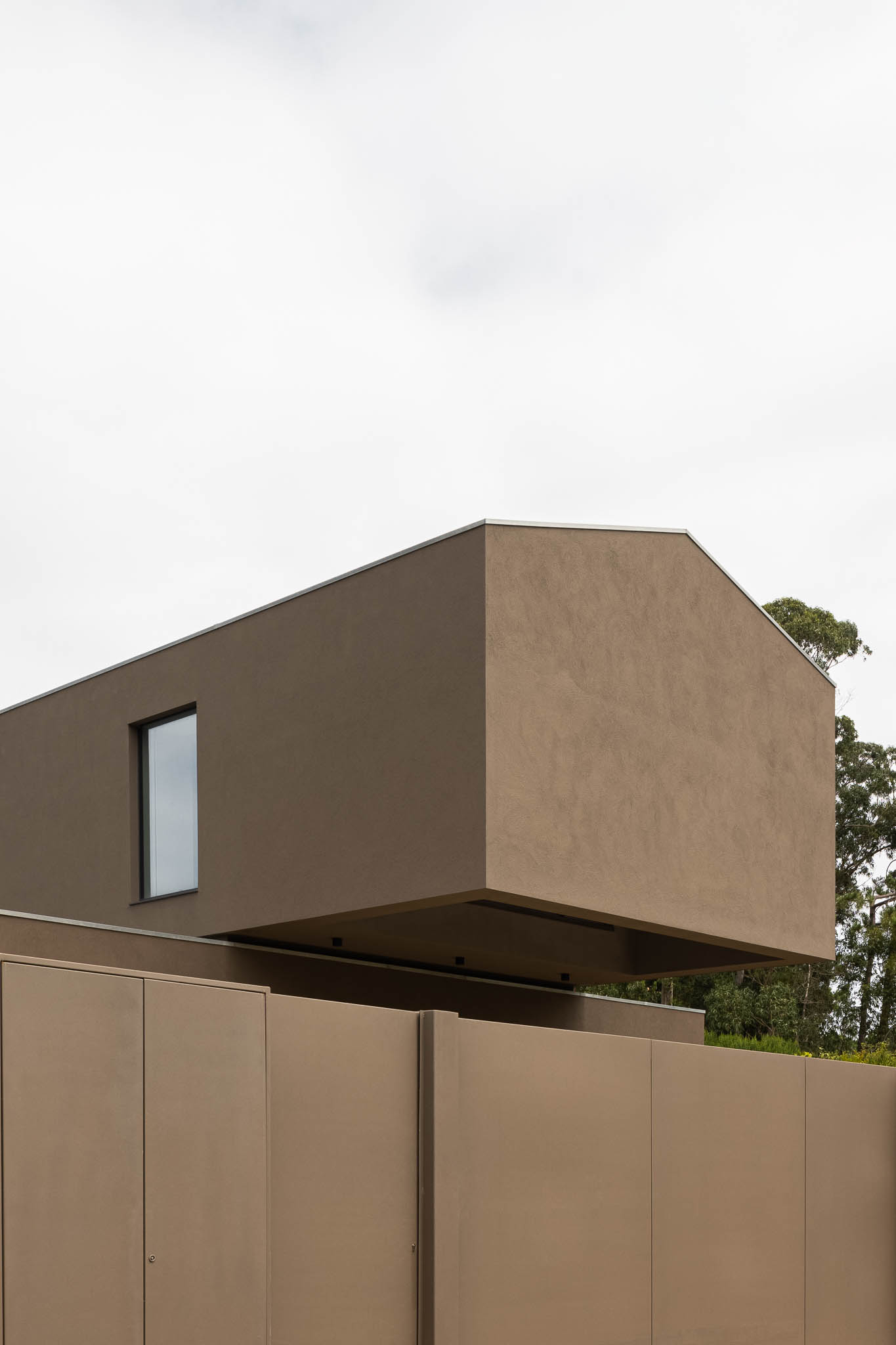 tz (12).jpg tz (12).jpg