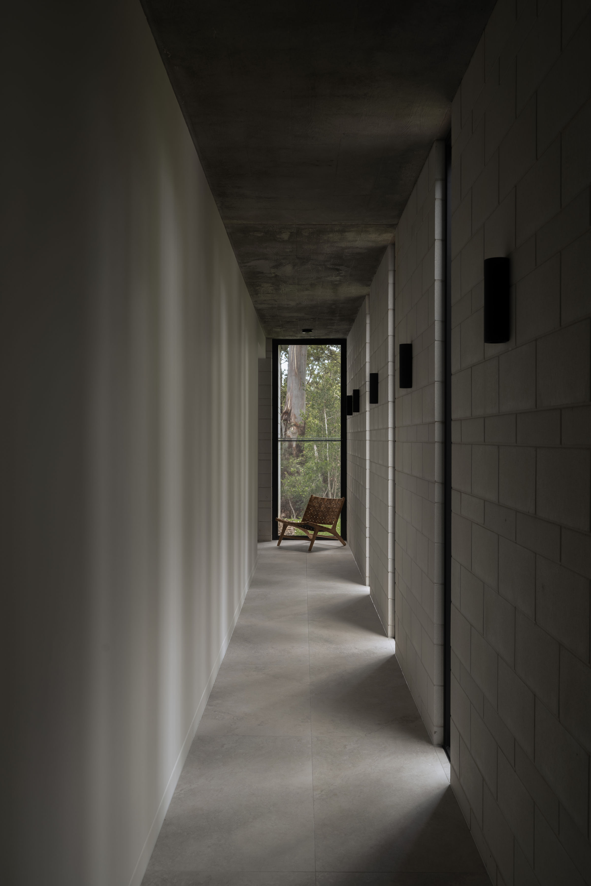 tz (12).jpg