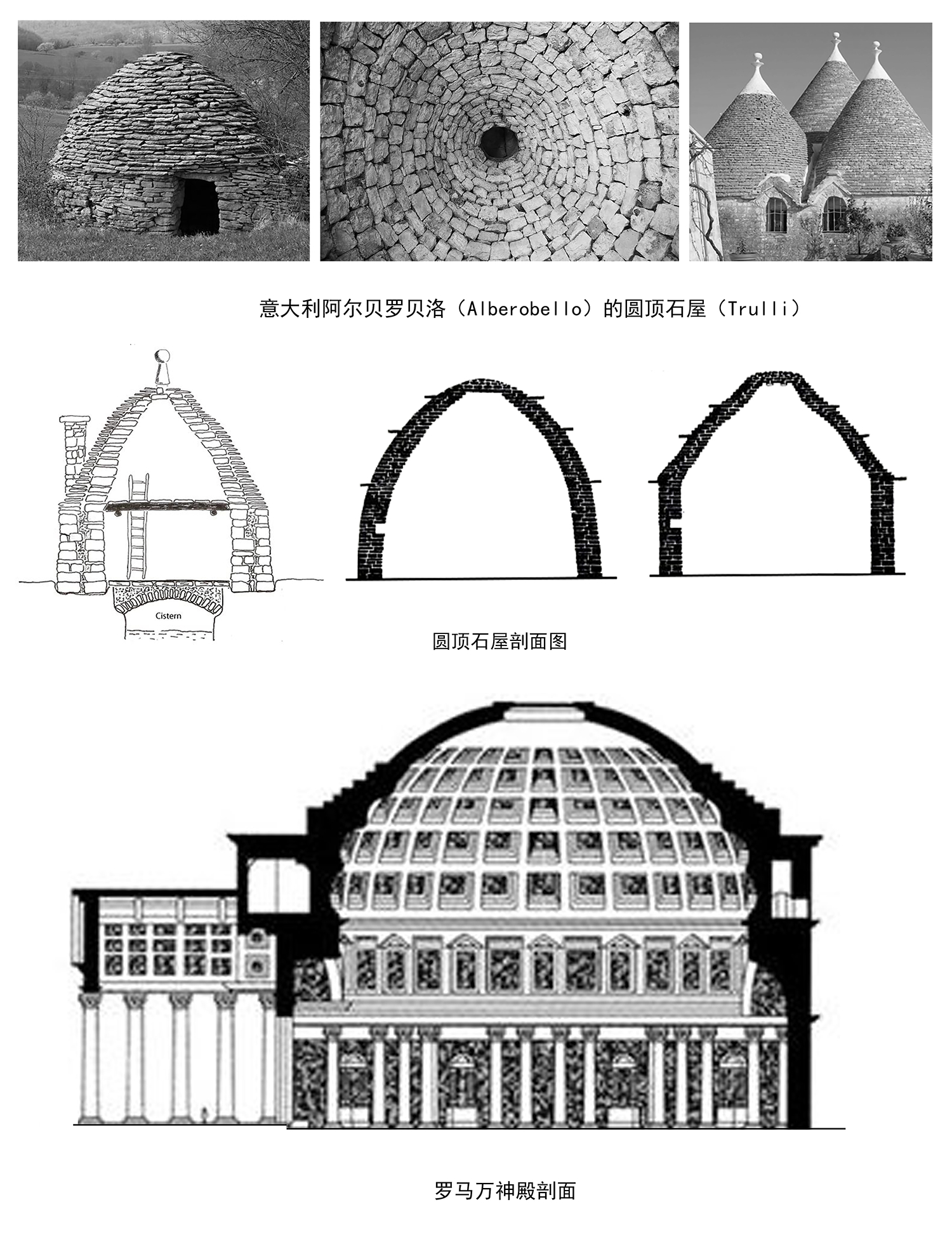 tz (12).jpg