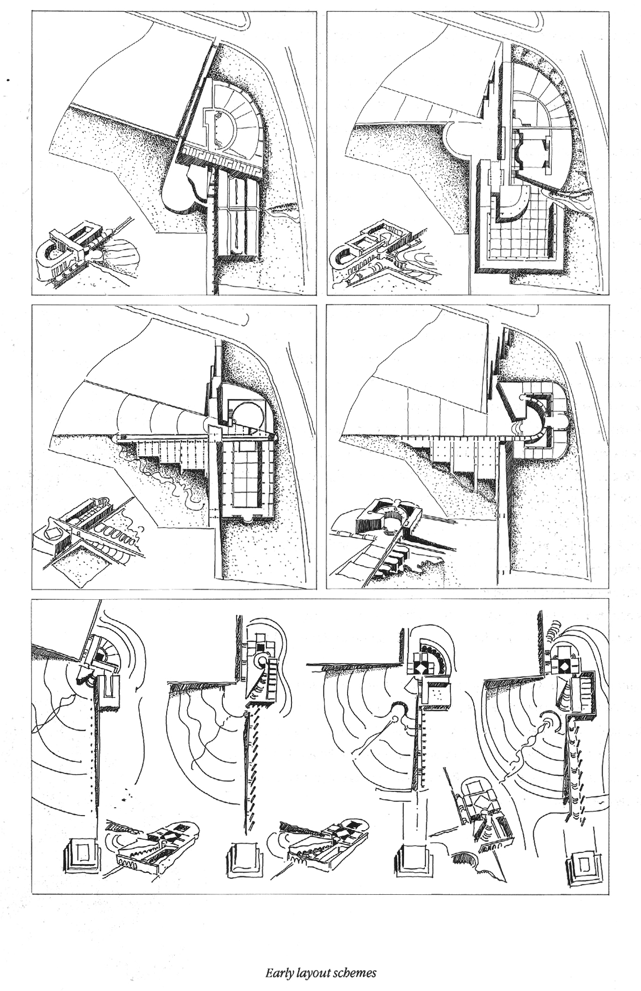 t (11).jpg