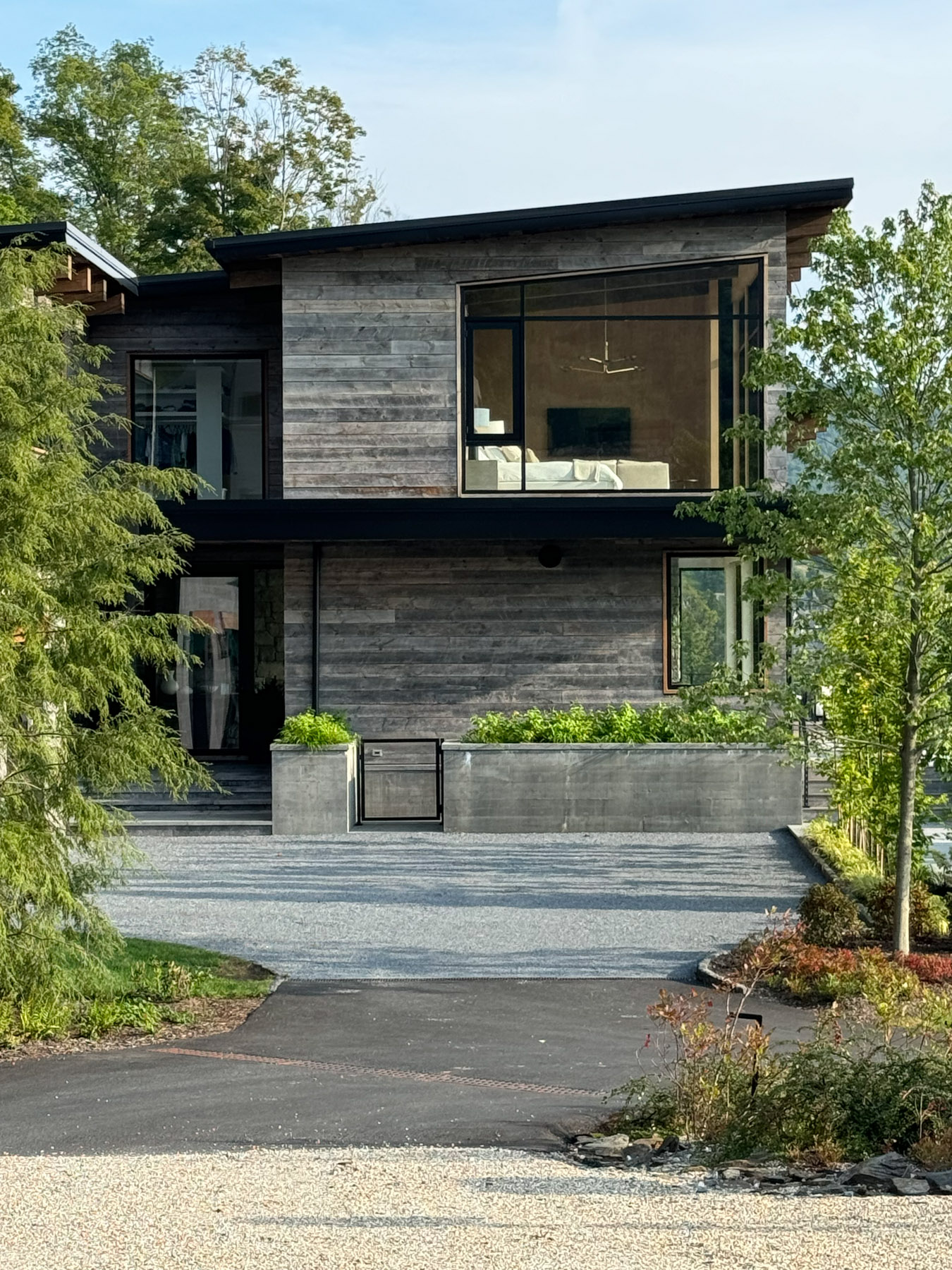 tz (1).jpg