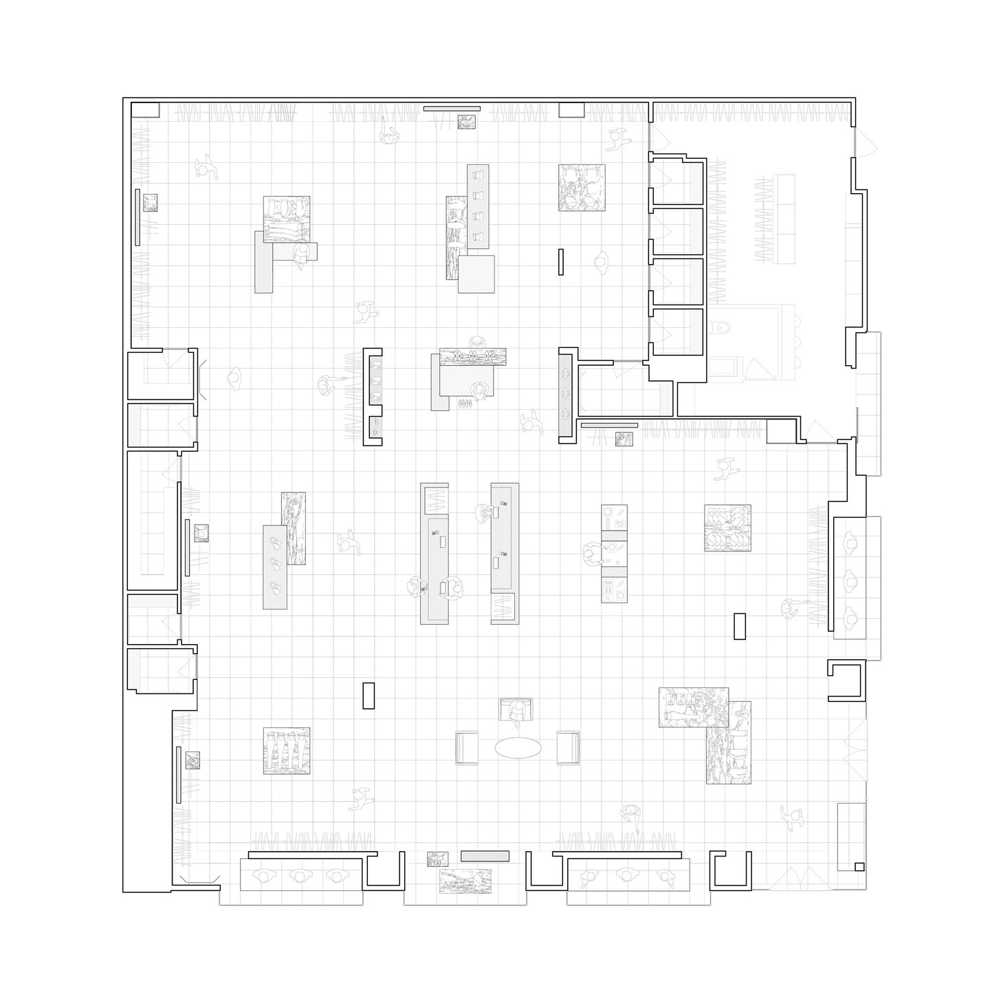 tz (1).jpg