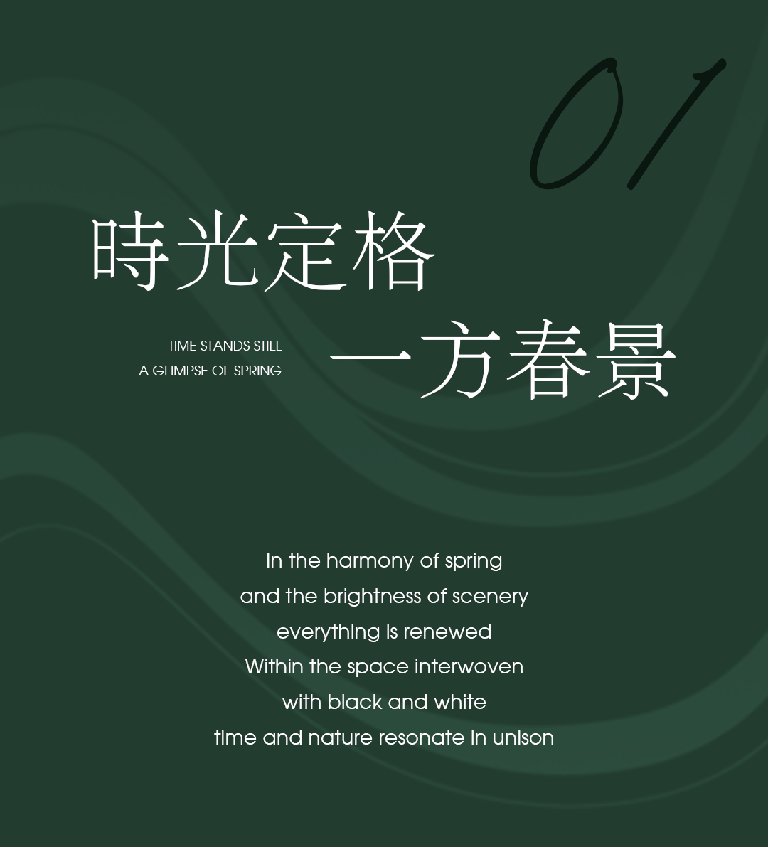 DM_20250221150206_007.PNG