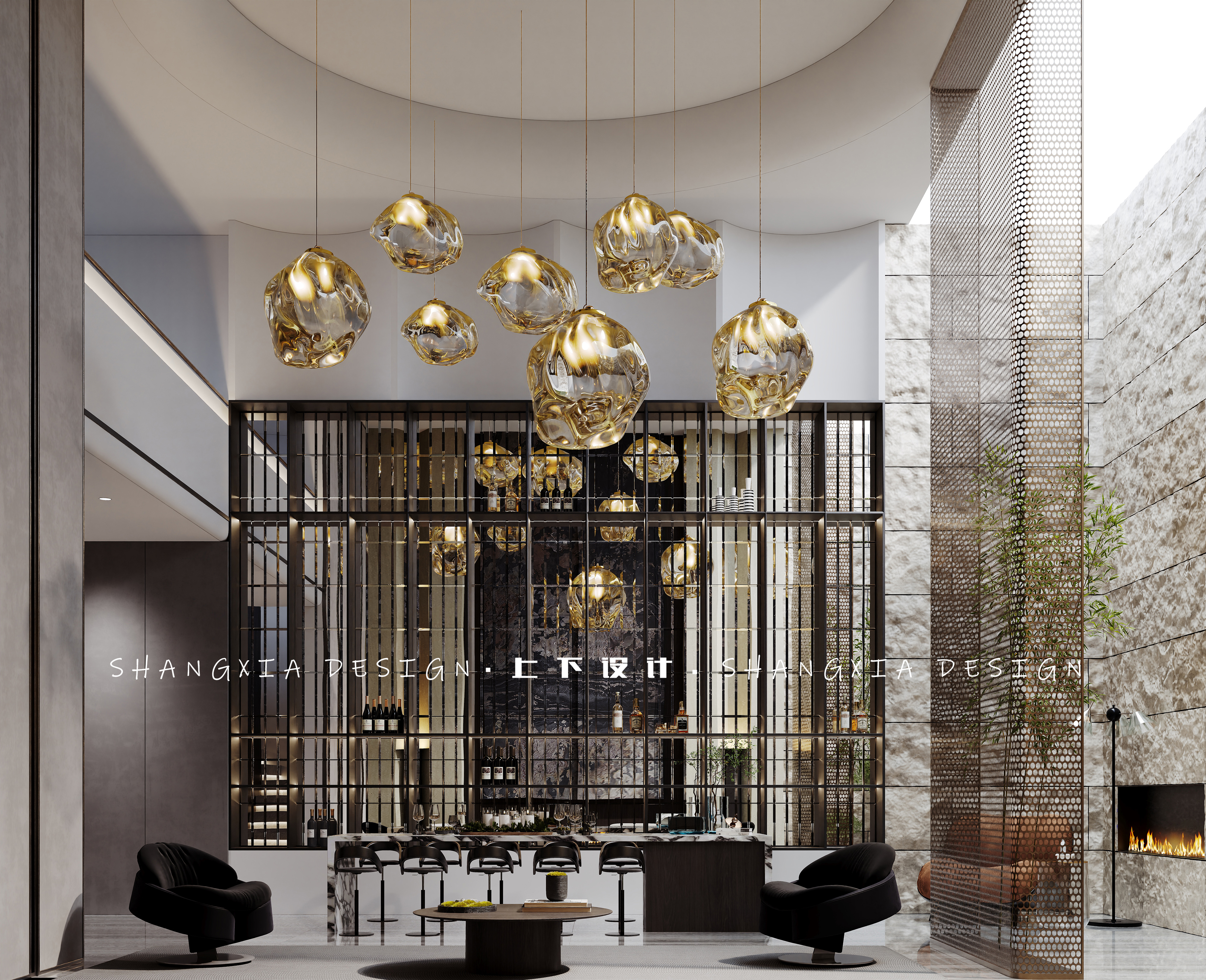 Corona Camera002 (2).jpg