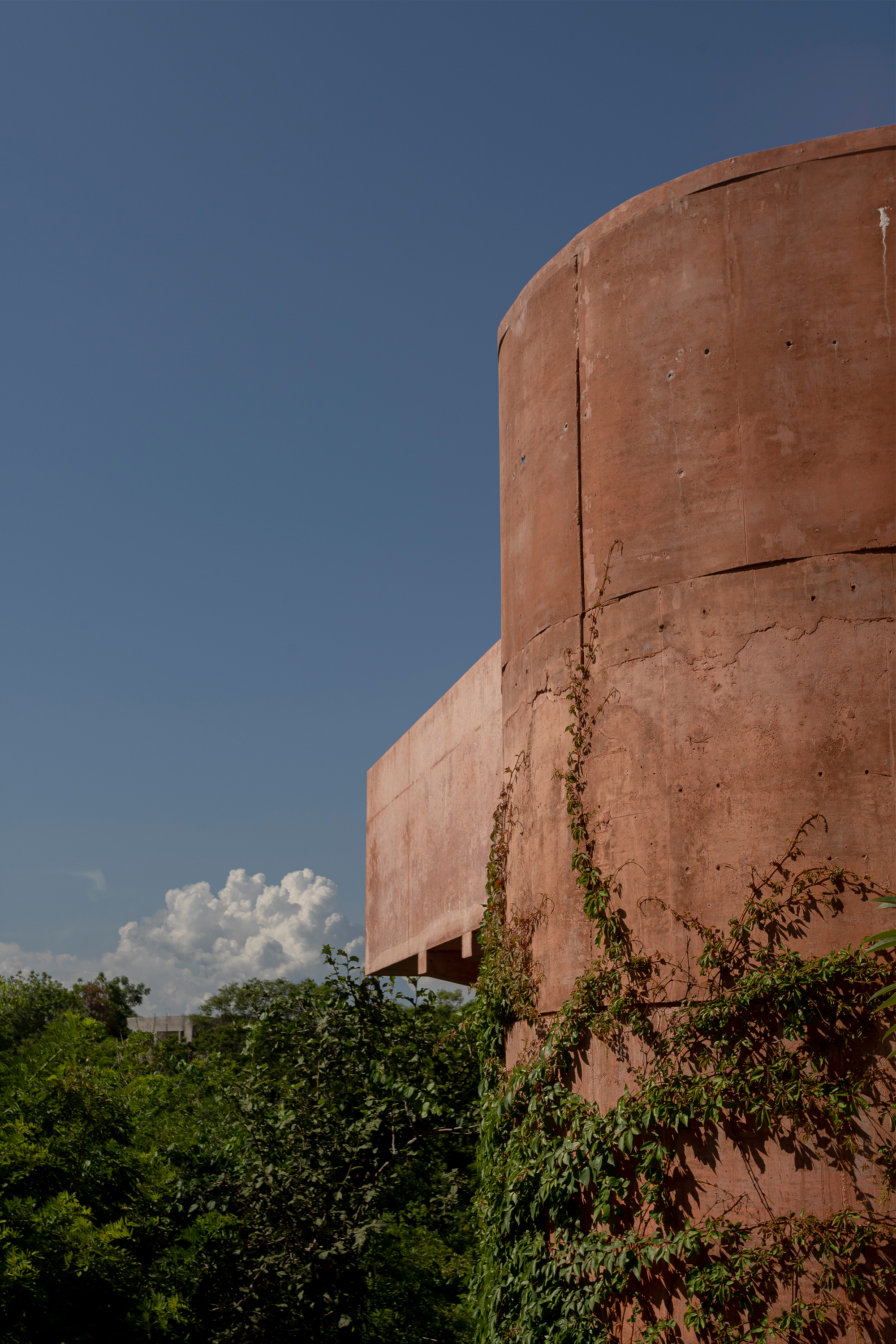 Casa-Rosada-PRODUCTORA-05.jpg