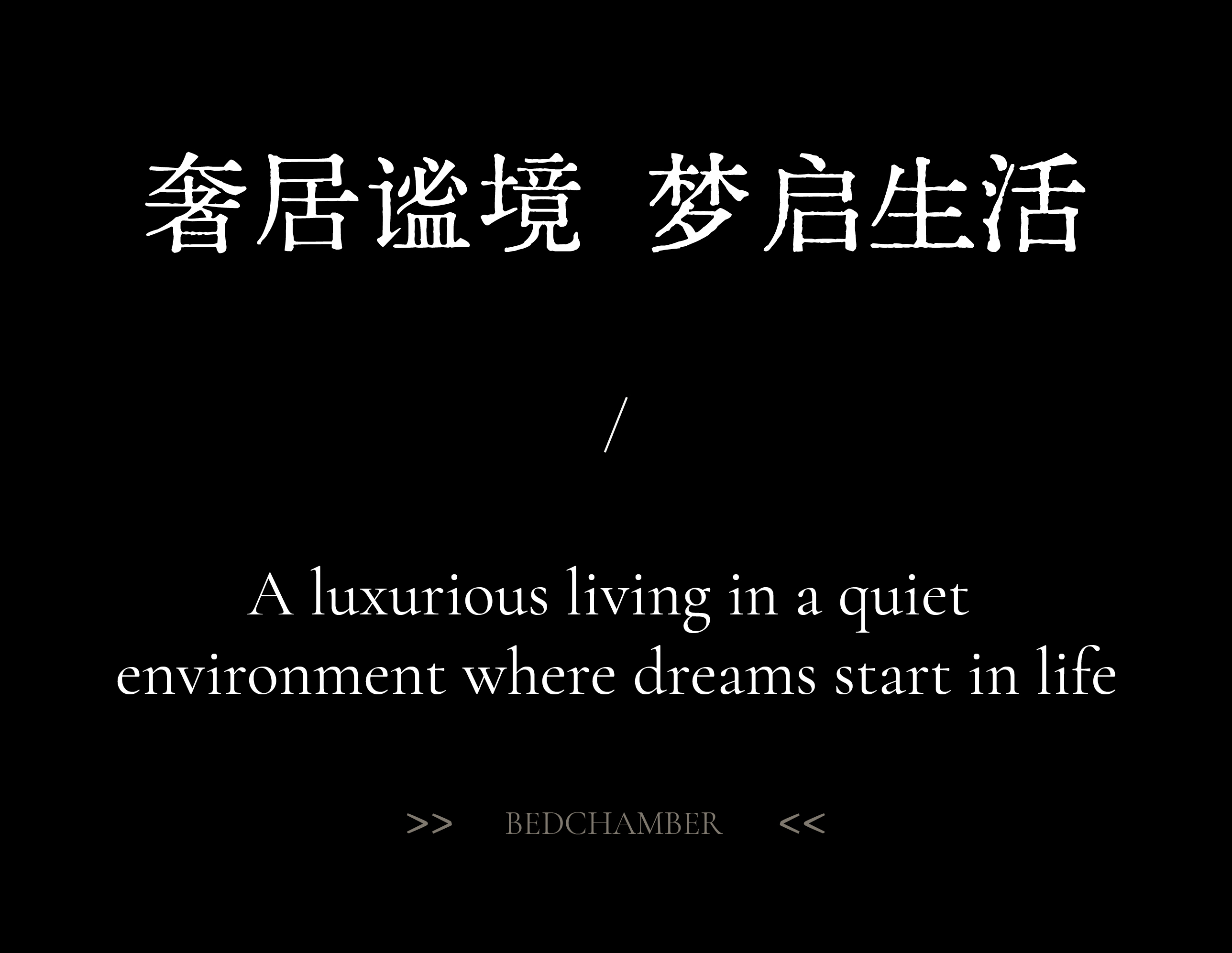 DM_20250306102830_011.jpg