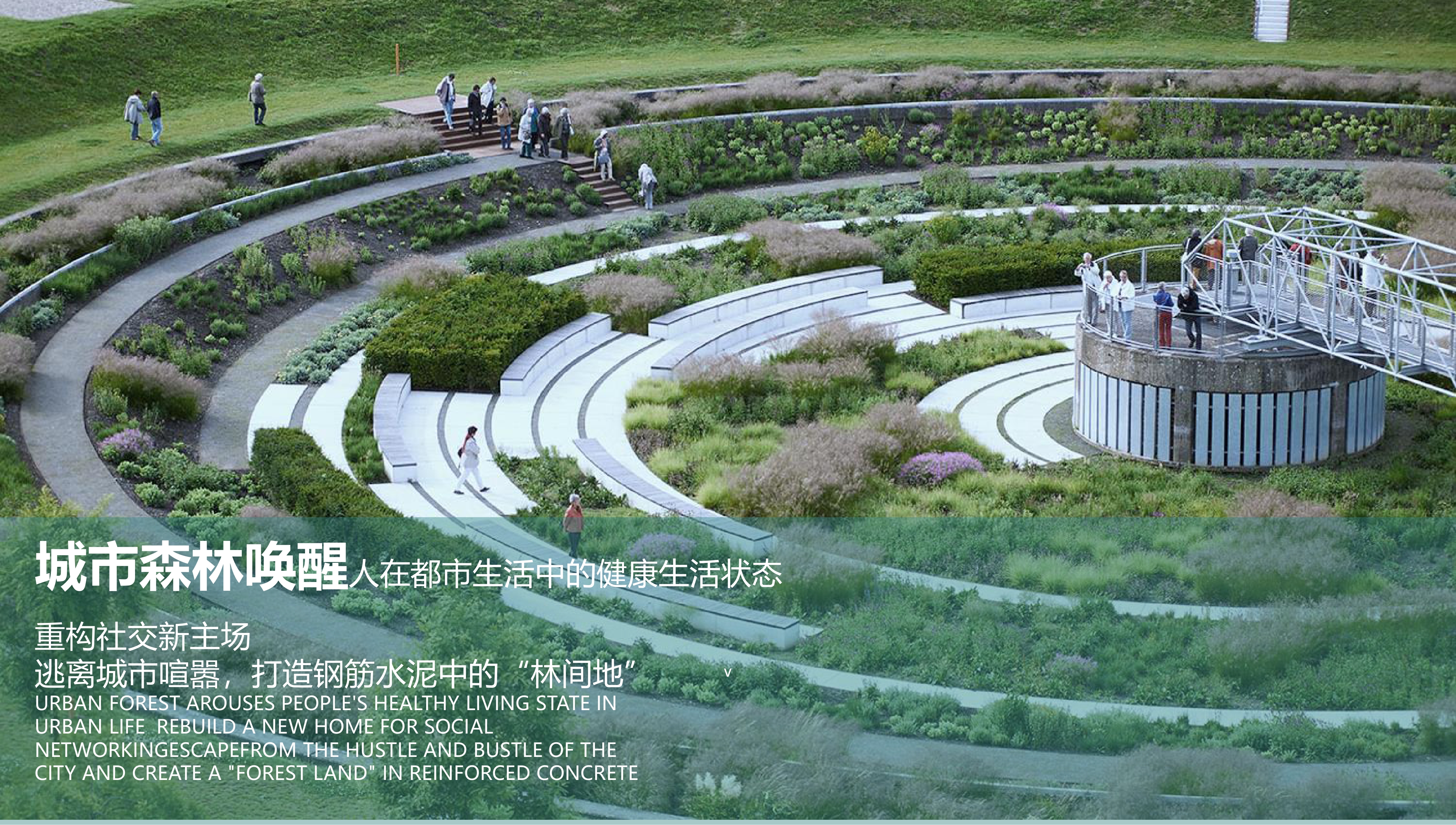 87.jpg