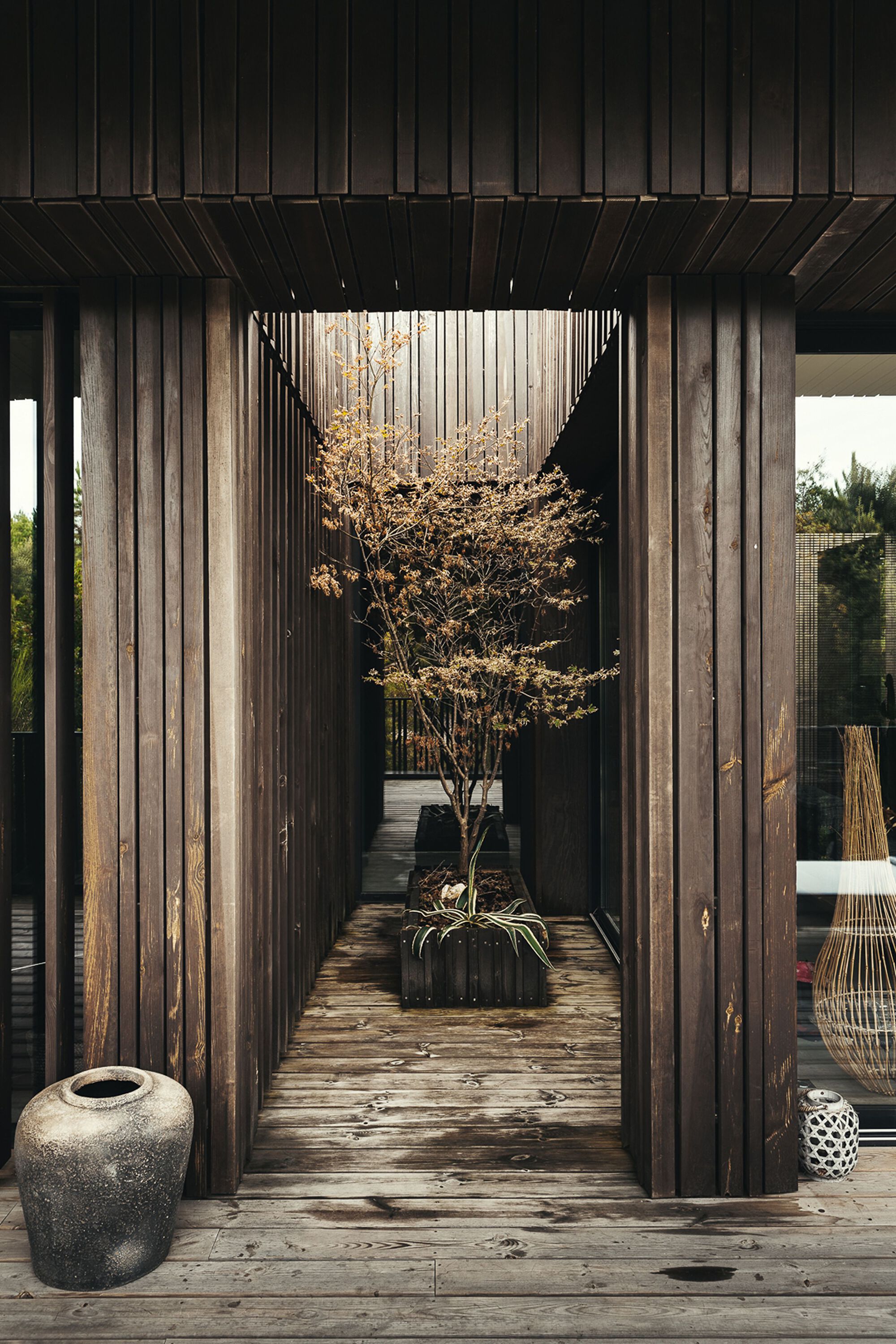 T (7).jpg